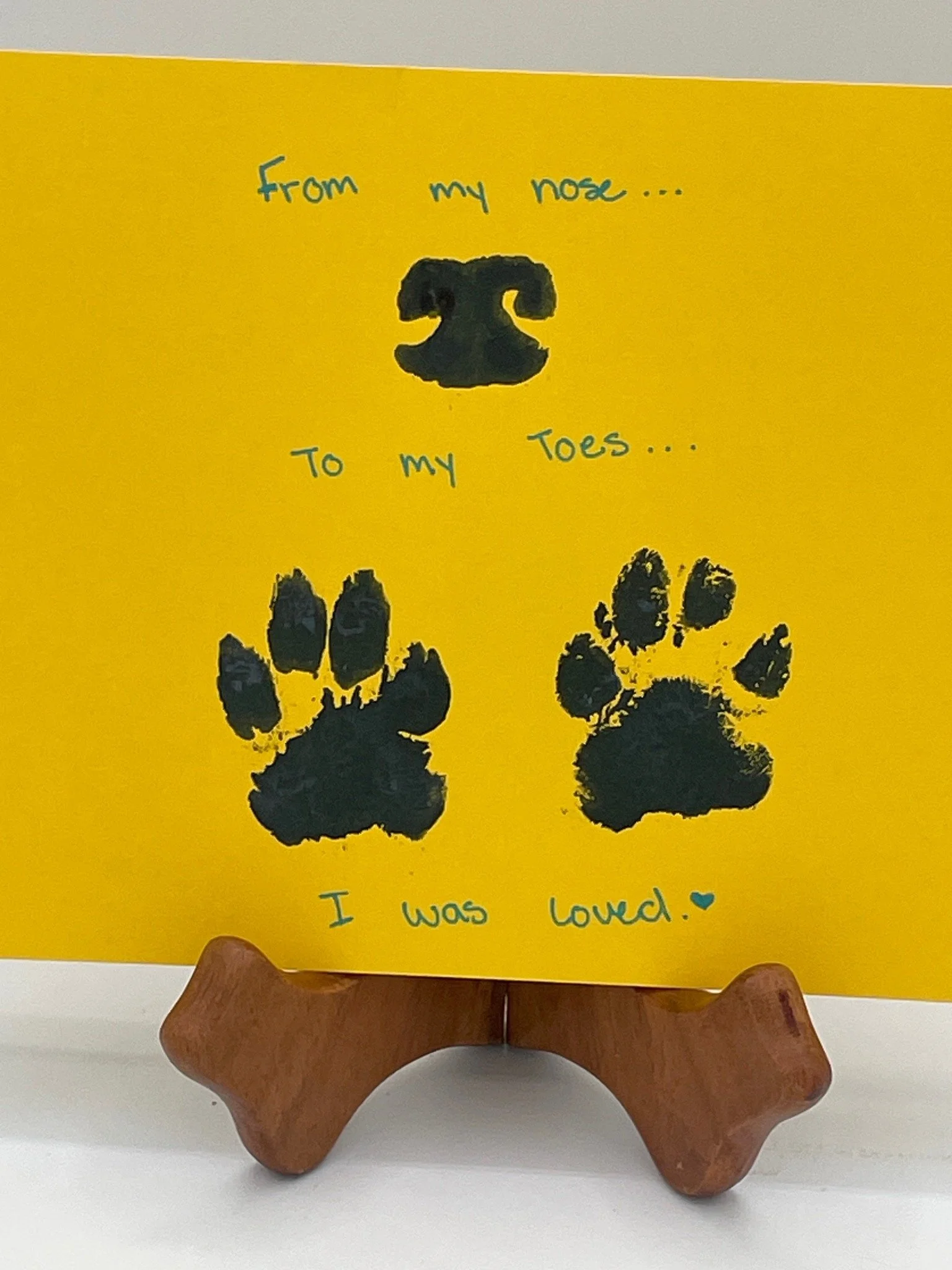 Many of you know that I opened a pet funeral home in August 2024 called Cholla Afterlife, named after my dog Cholla. I am grateful that it has been a slow holiday season there. For those who needed my services during the holidays, I am so sorry for y