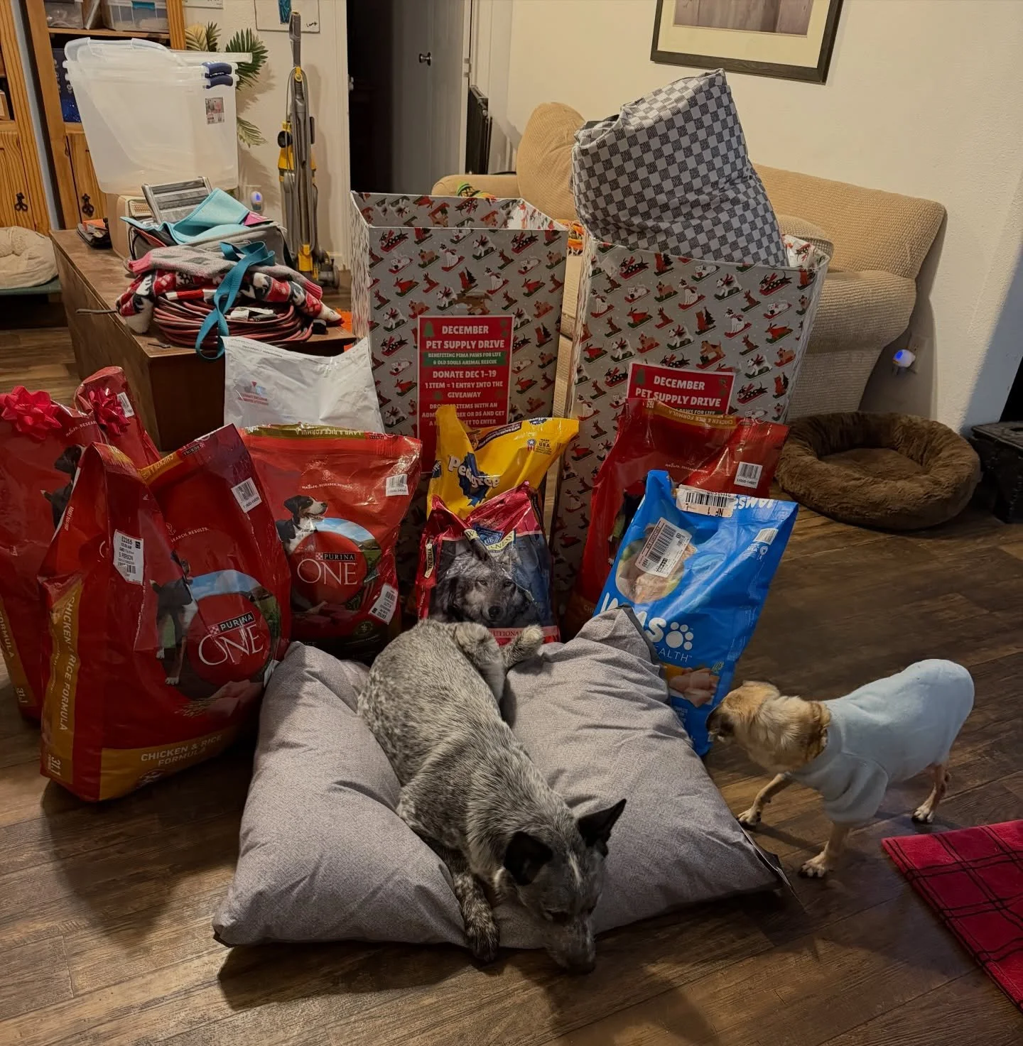 SPECIAL DELIVERY FROM A NOT-SO-SECRET SANTA 🎅🎁

We want to give a HUGE thank you to our friends at @saguaroaquatics for hosting a holiday donation drive on our behalf and dropping all of the donations off at our doorstep last night!

The Old Souls 