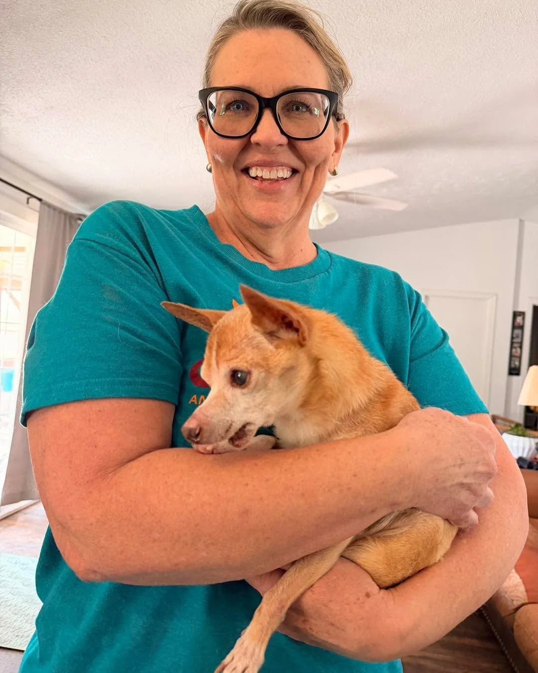 Finn, who we love to inFINNity, is now in foster care!!!! Our amazing volunteer Kelli (not Kelly and not Kellie, although they are wonderful too) finally decided to take home our tiny sweet boy after falling in love with him months ago. Finn was rece