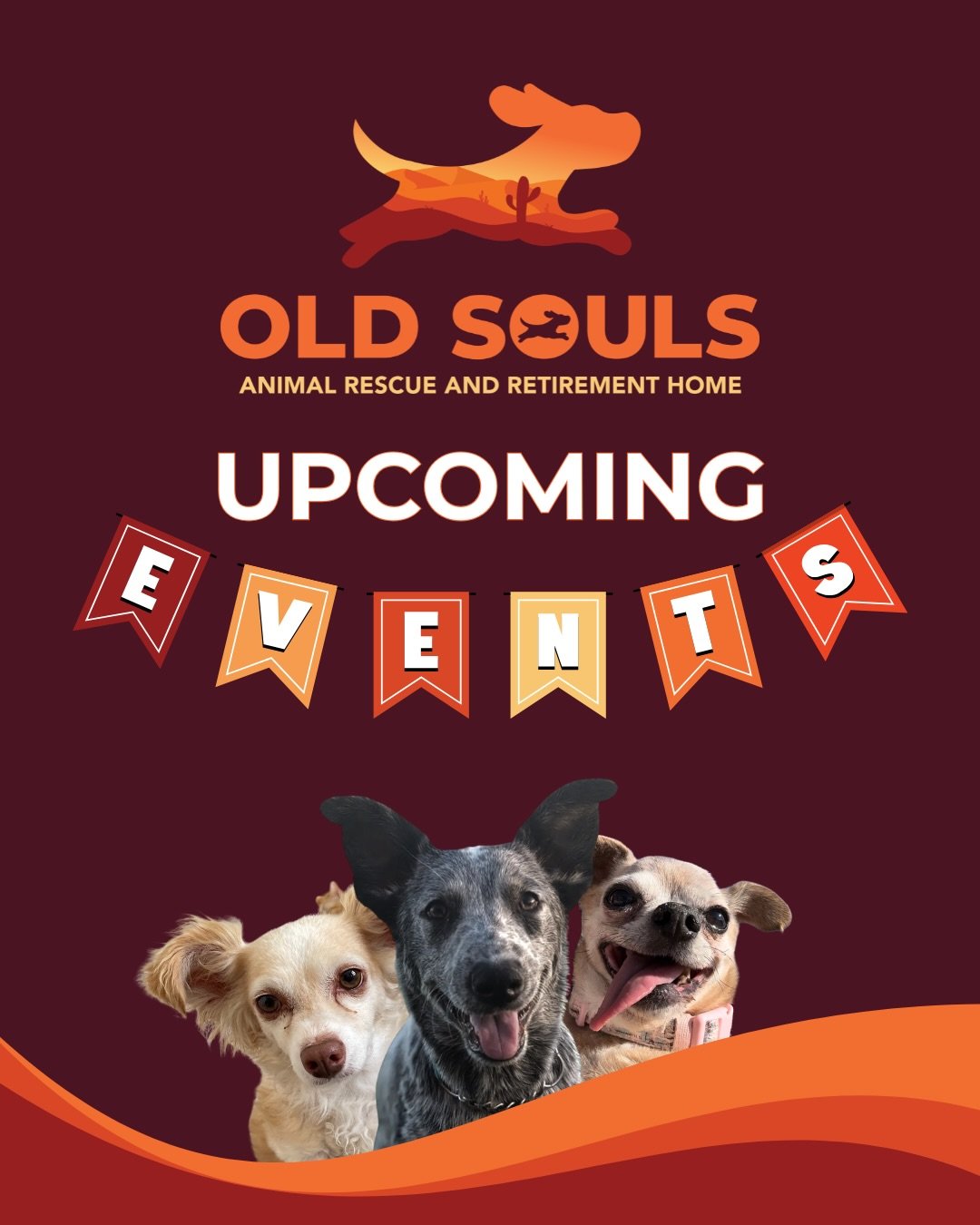 CHECK OUT OUR UPCOMING EVENTS! 👀

VOLUNTEERS: Contact Dr. Paula if you&rsquo;re able to help spread awareness and raise funds for the Old Souls pack at any of these events - (oldsoulsrescue@gmail.com)

Not able to volunteer? We&rsquo;d still love to