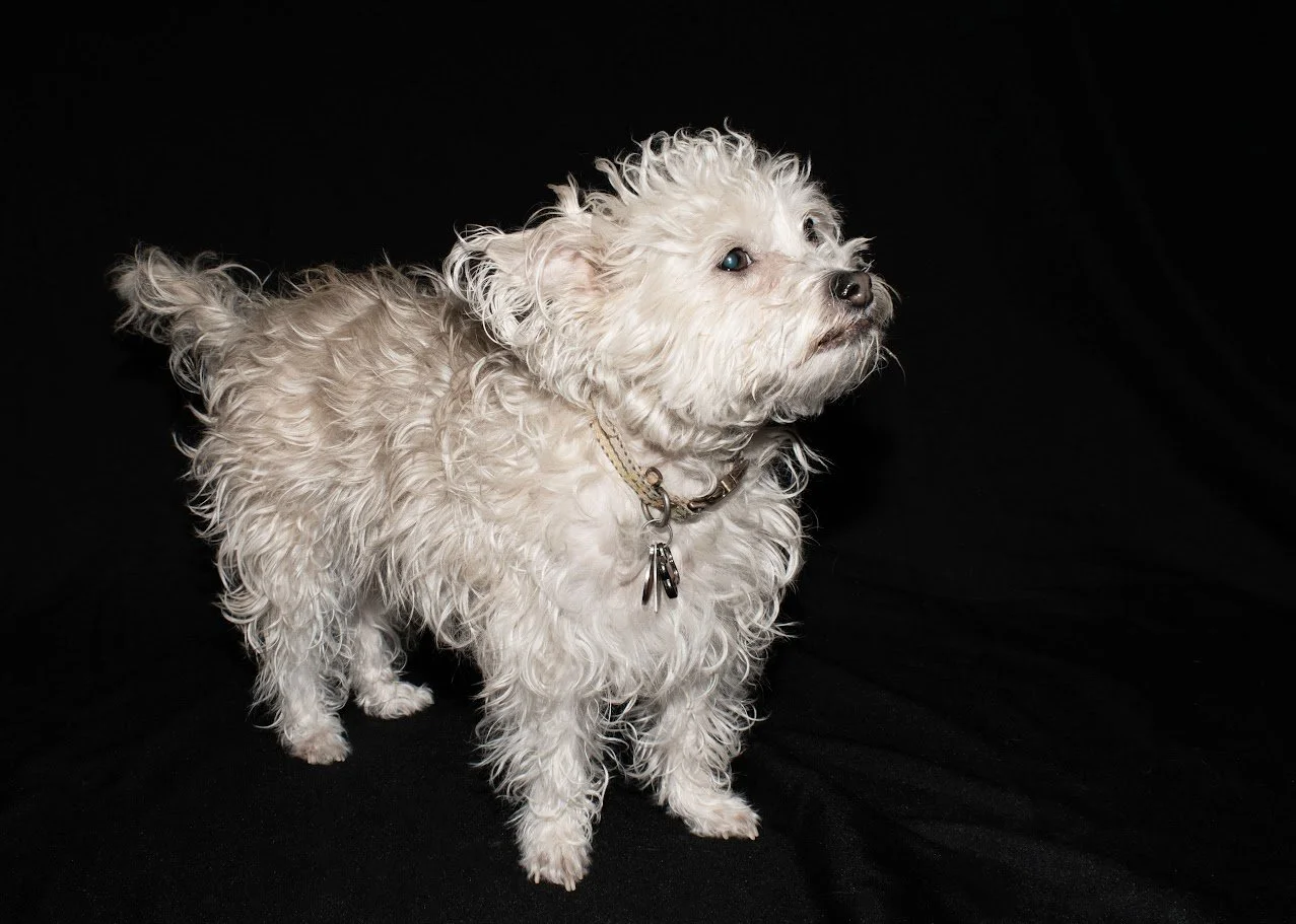 QTIP.jpg