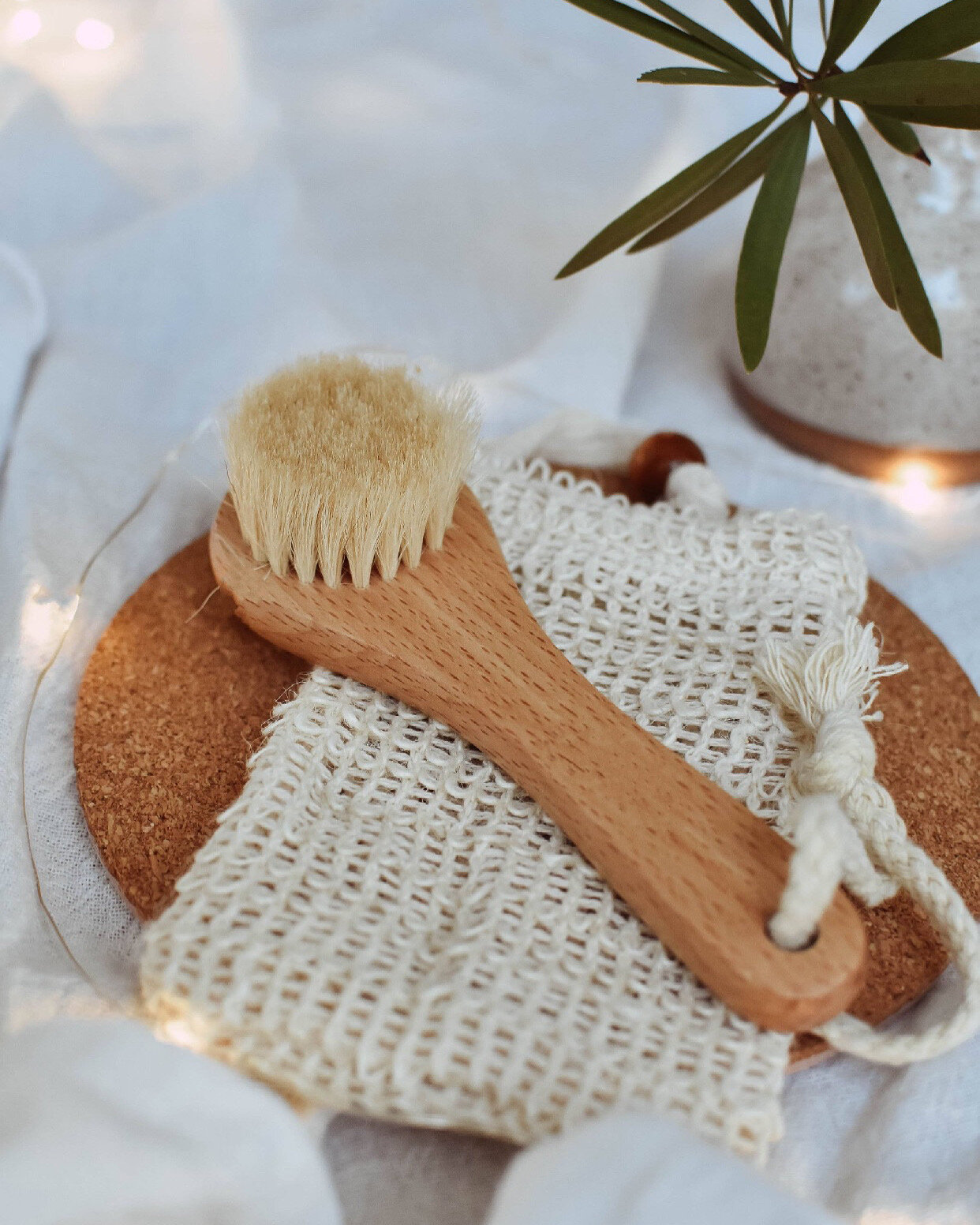 Dry Facial Brush