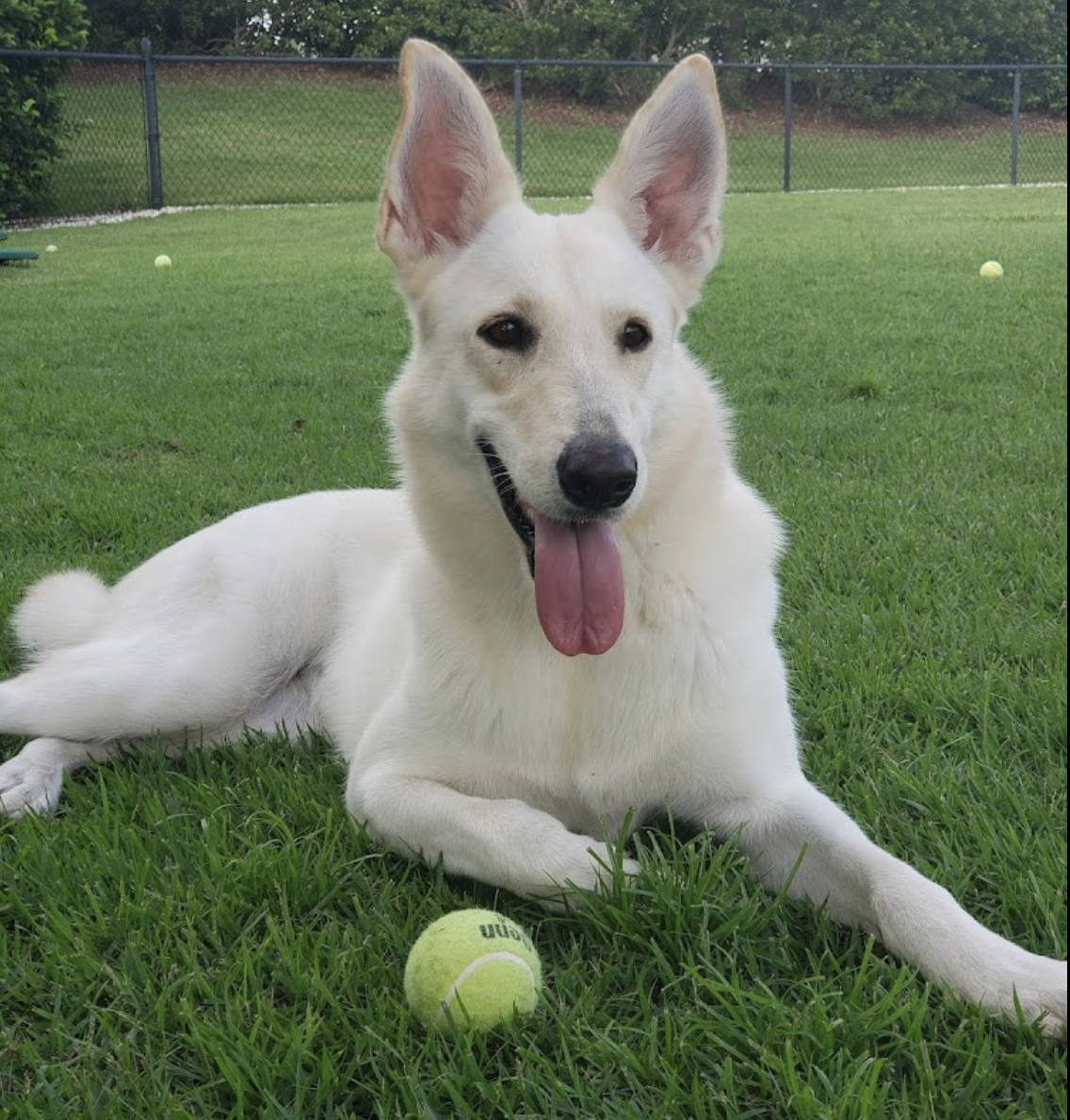 Deborah & Bella (Cortez, FL)