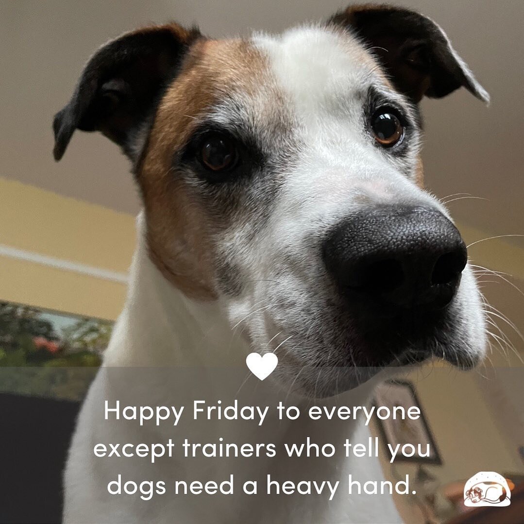 Happy Friday! Your dog doesn&rsquo;t need a heavy hand. Your dog needs to feel safe. 💌