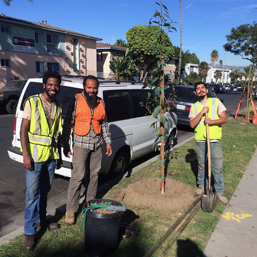 Urban Greening in South LA — North East Trees