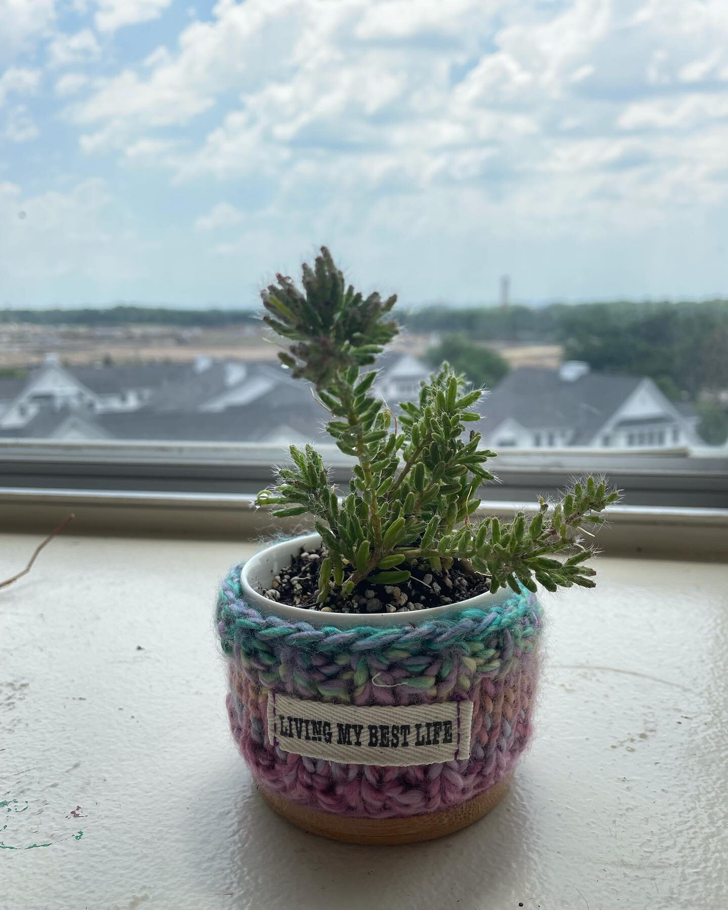 Happy Monday 
.
.
.
#livingmybestlife #succulents #knittersofinstagram #handmade #localartist #localbusiness