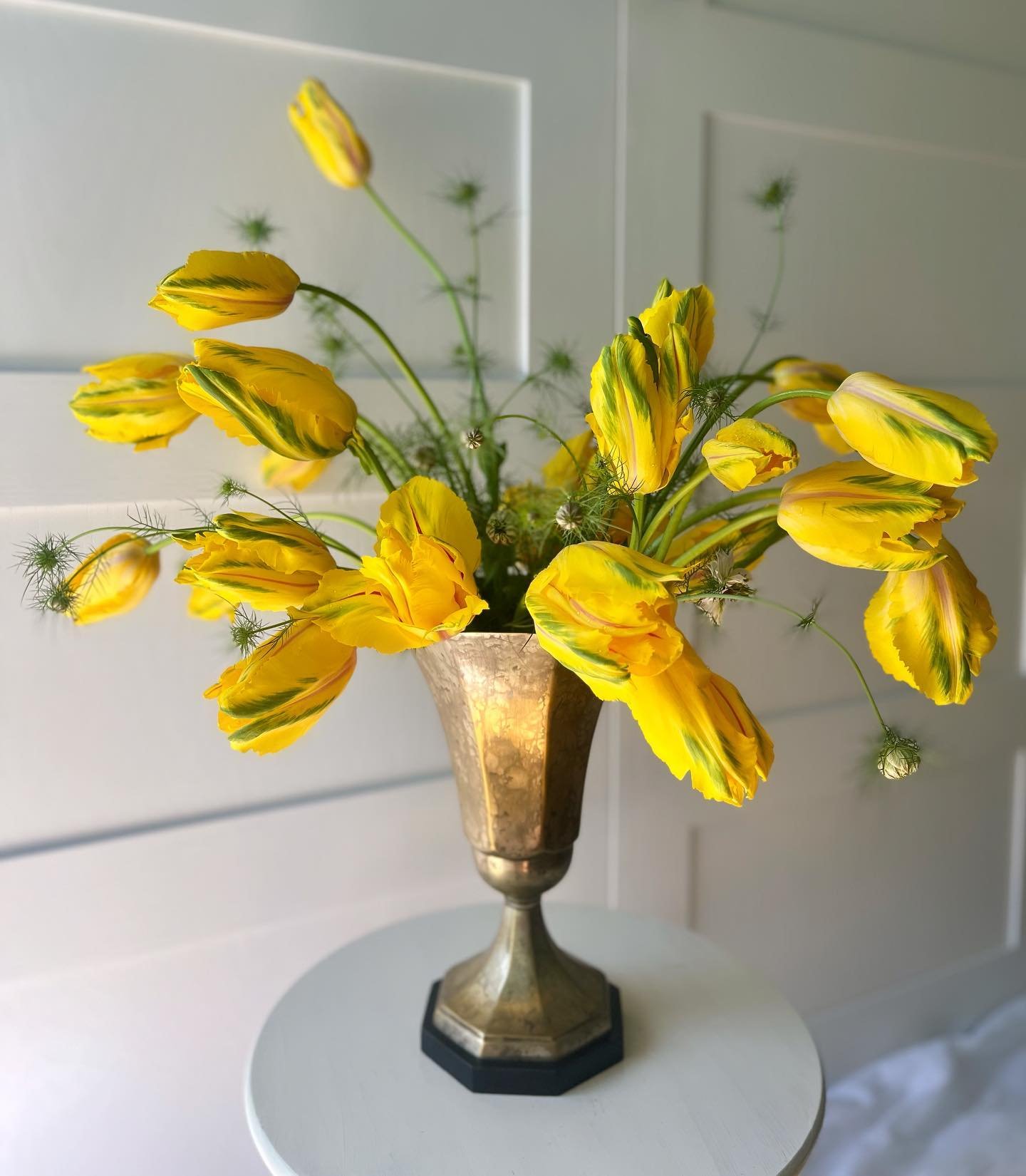 I&rsquo;m warming up to these vibrant 𝑃𝑎𝑟𝑟𝑜𝑡 𝑇𝑢𝑙𝑖𝑝𝑠 with a touch of 𝐿𝑜𝑣𝑒 𝑖𝑛 𝑎 𝑀𝑖𝑠𝑡🌿 
It&rsquo;s good to get out of your comfort zone💛

#floraldesign 
#flowersarebeautiful 
#flowersaregoodforthesoul 
#floralarrangement