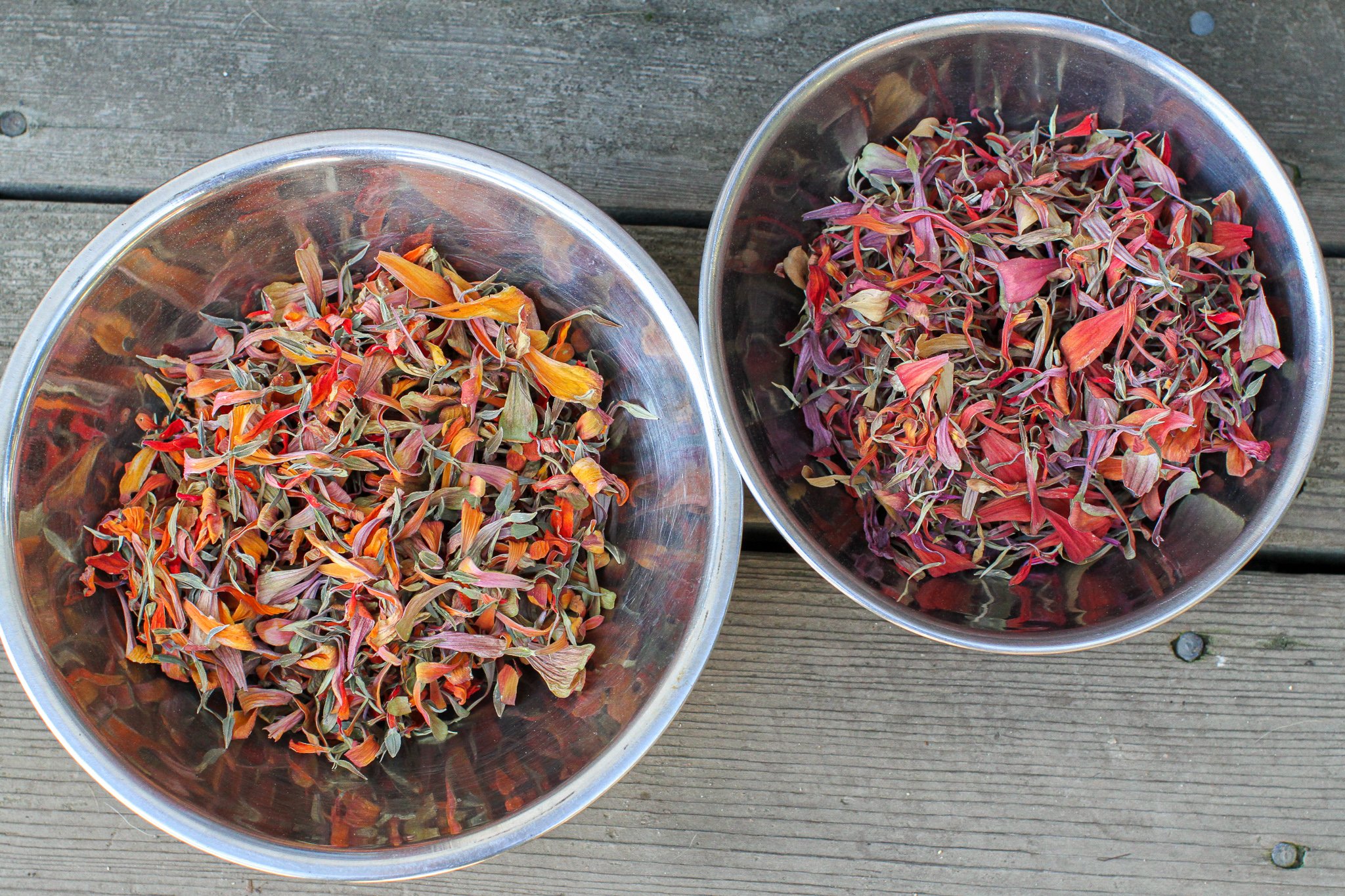 Dried zinnia petals ready to add into the papermaking vat.
