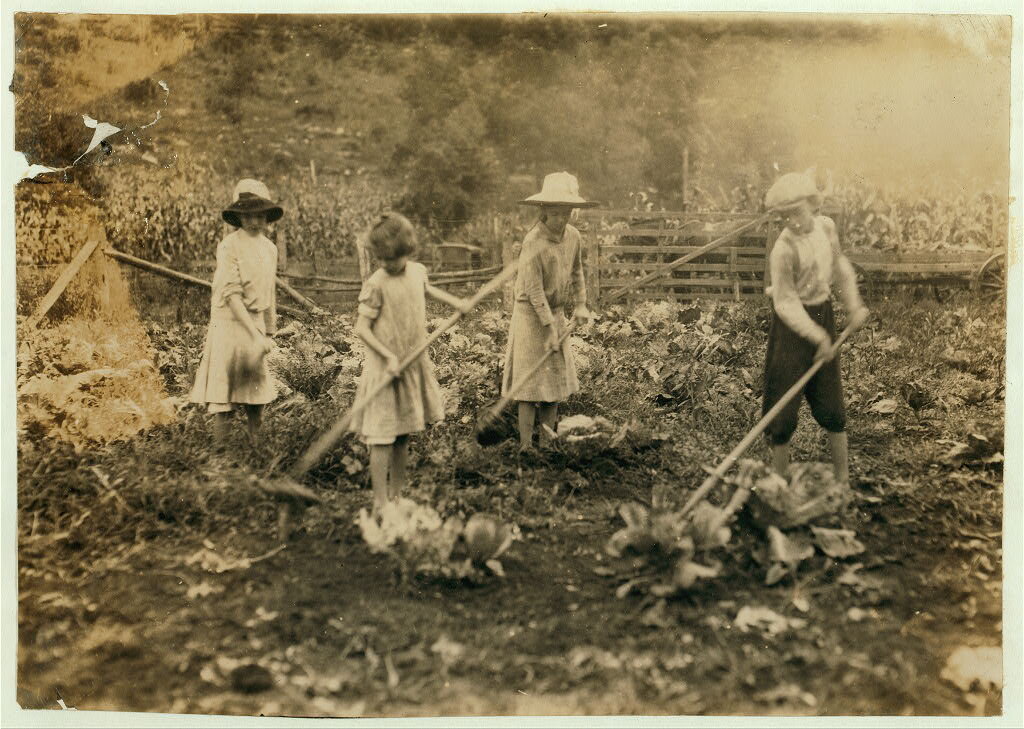 A History of Mount Vernon