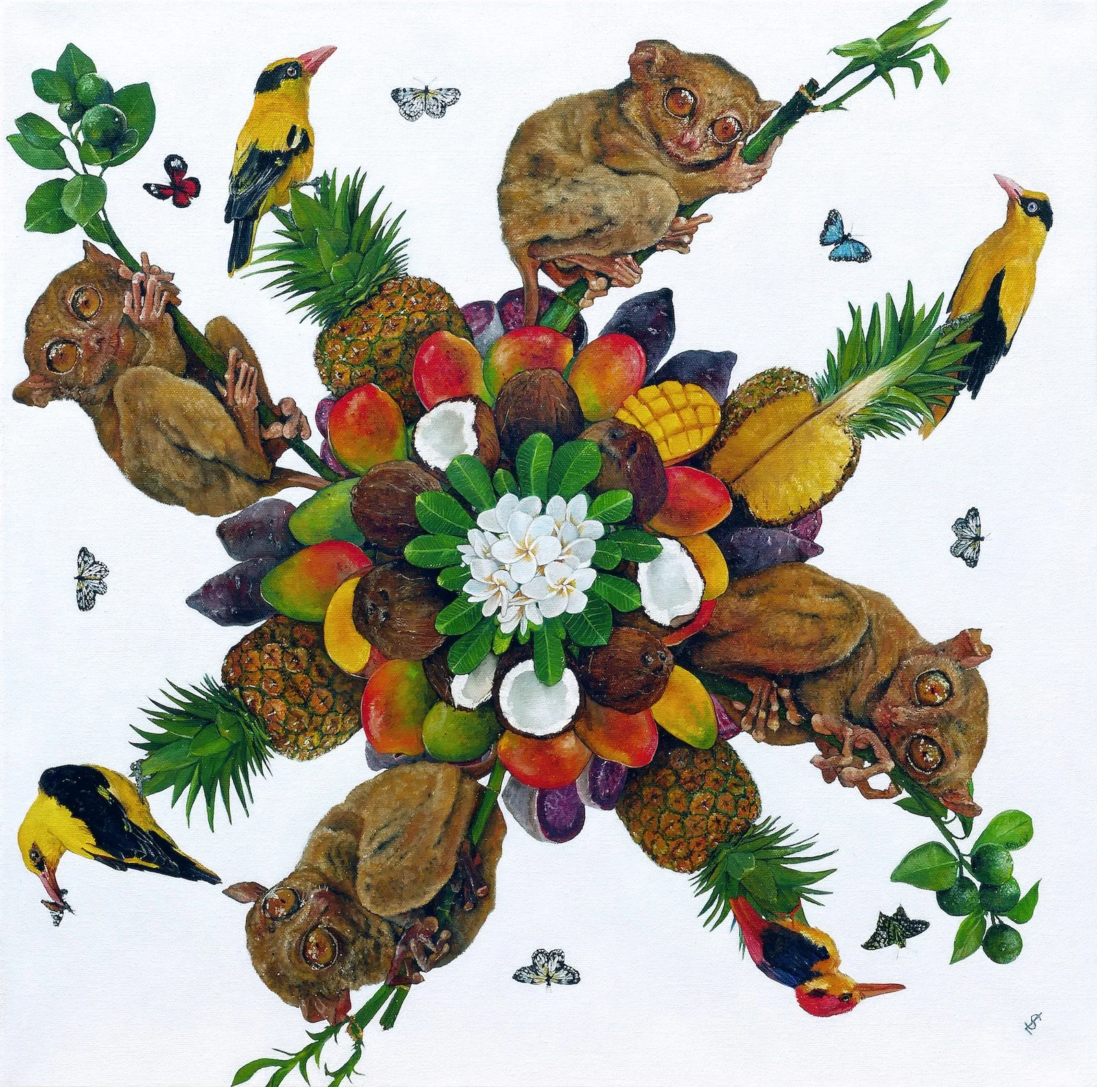 SAILEV Mandala of Bohol 5MB.jpg