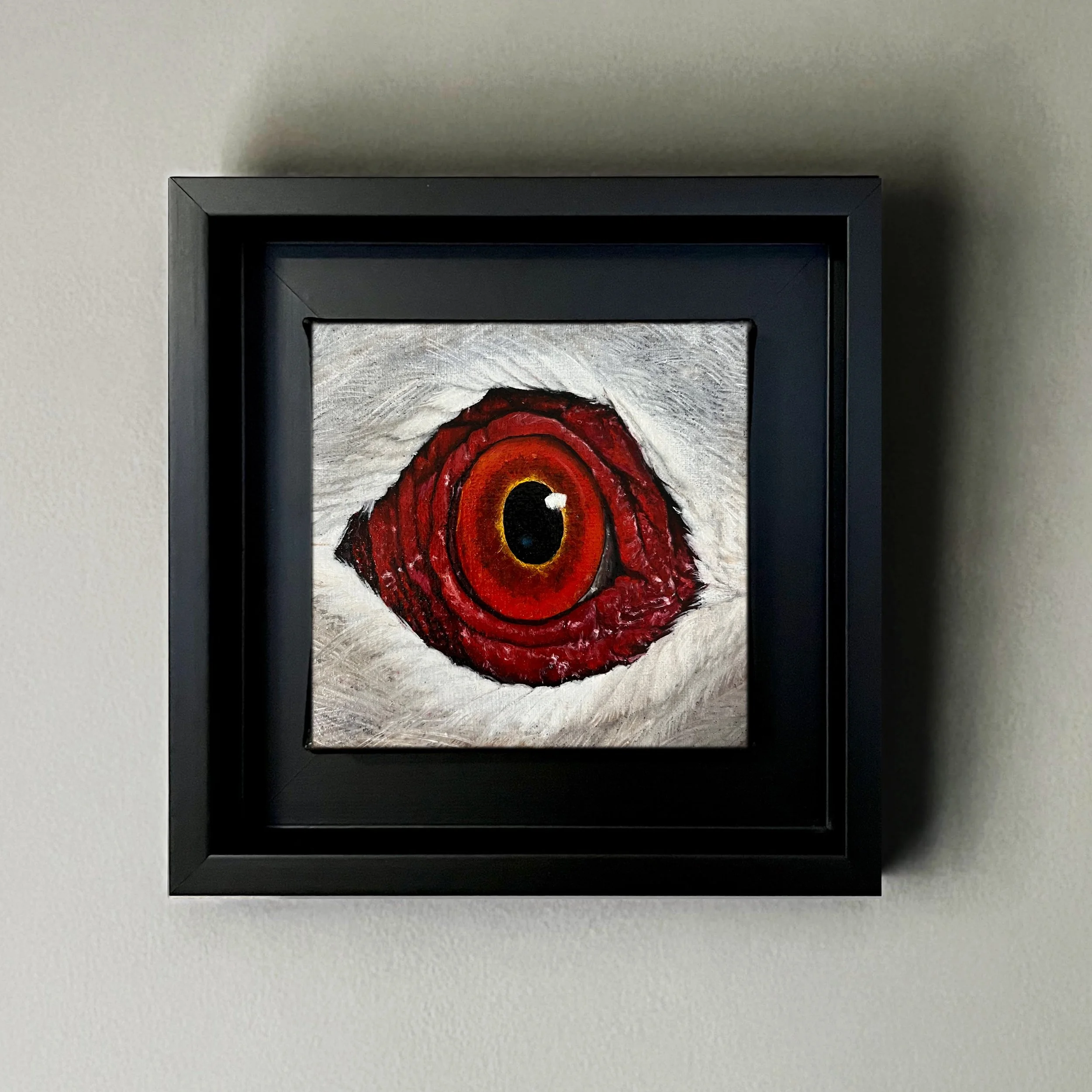 SAILEV EyeSeeYou XI on wall 2022.jpeg