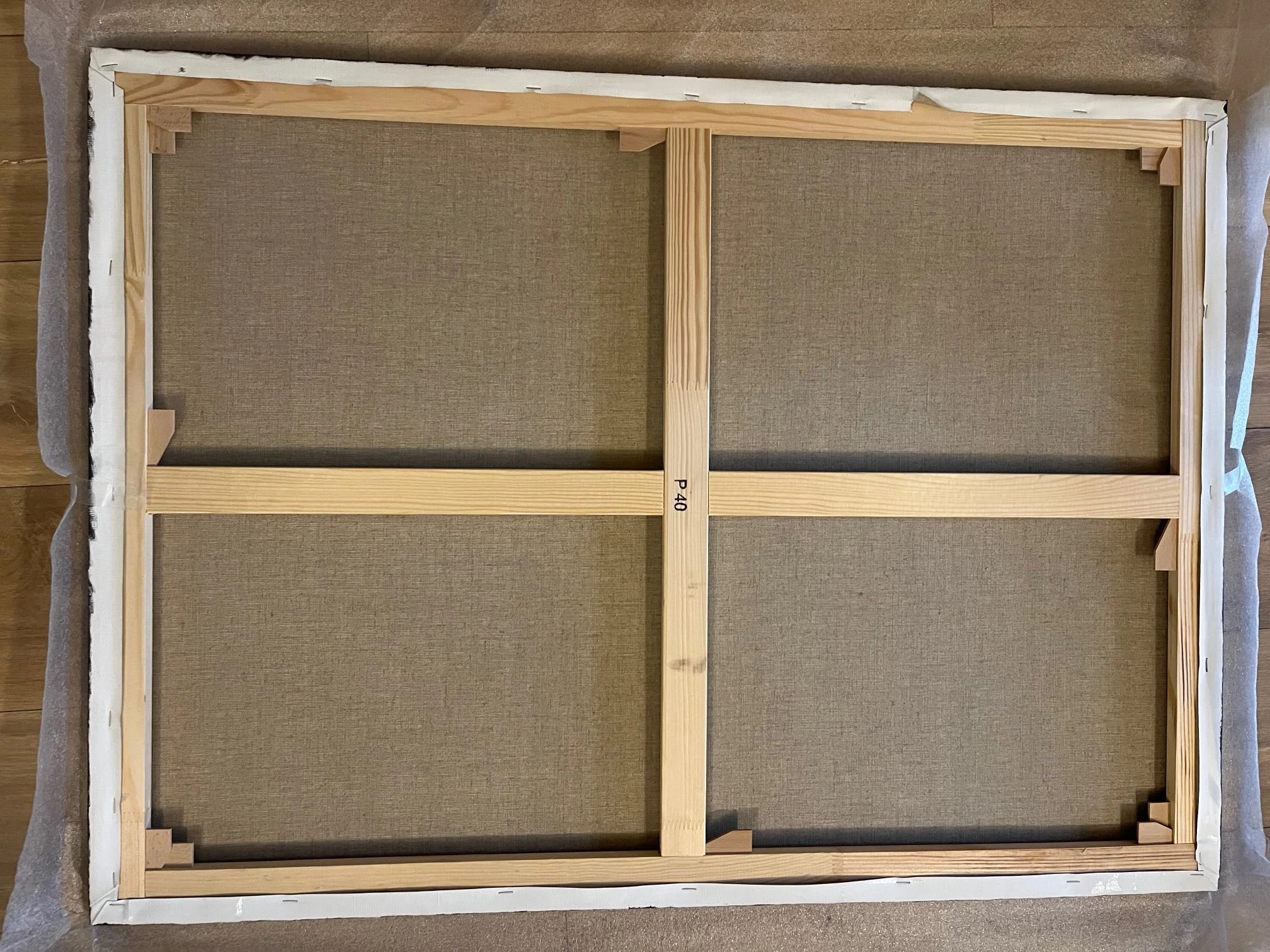 The Seeding Sloth backview.jpg