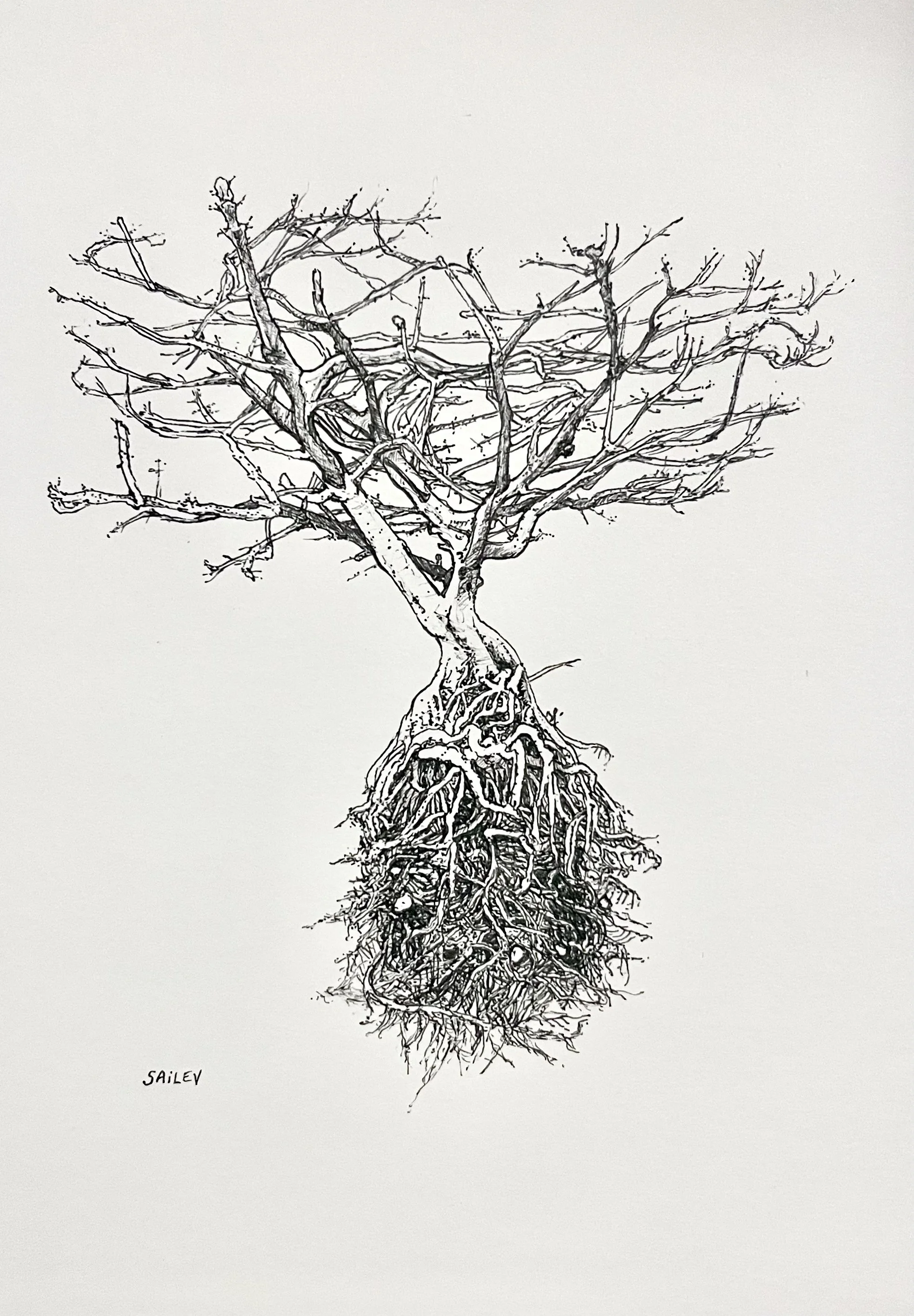 SAILEV Axis Mundi IV 2022.jpg