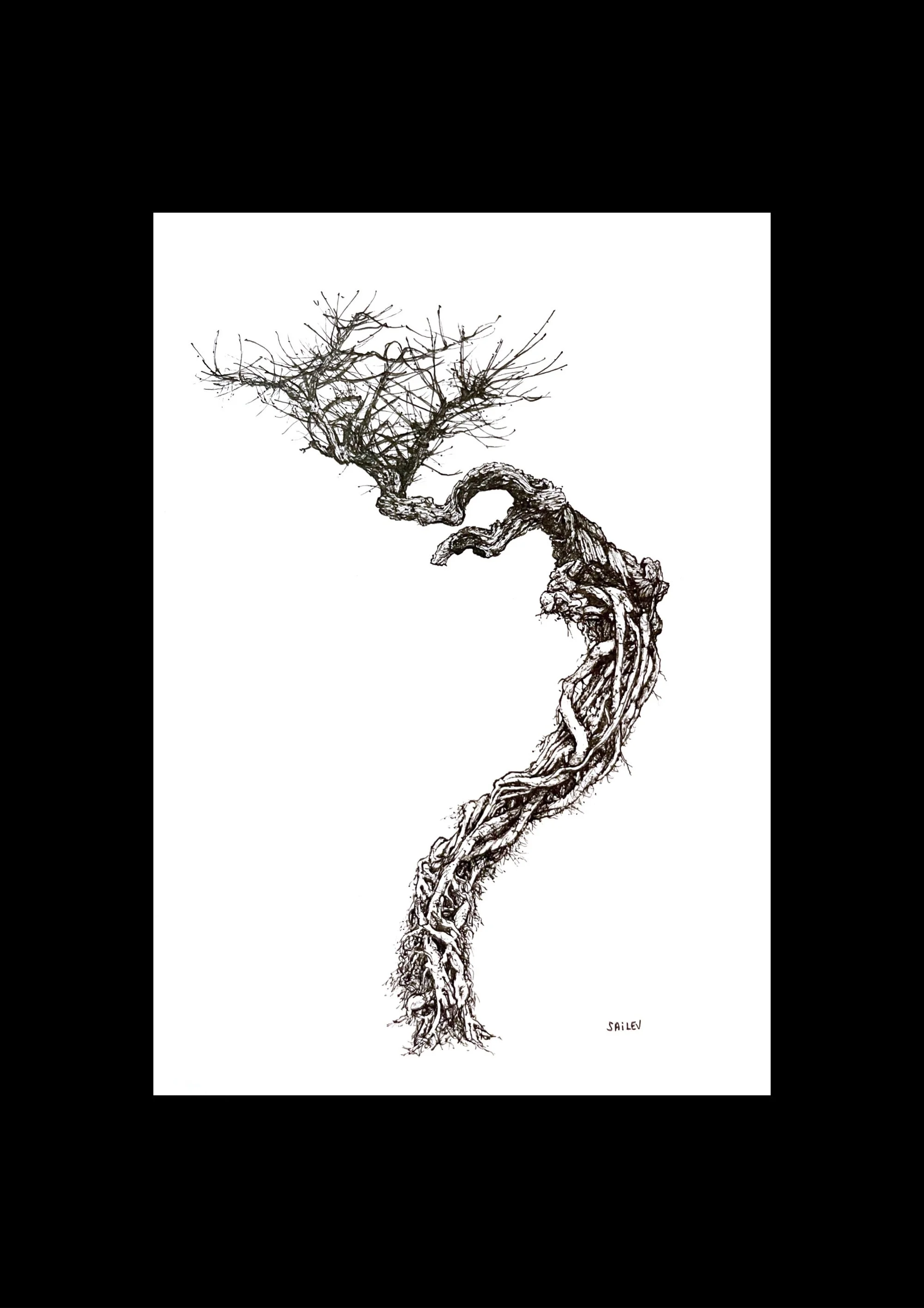 SAILEV Axis Mundi XII avec passepartout 2022.jpg