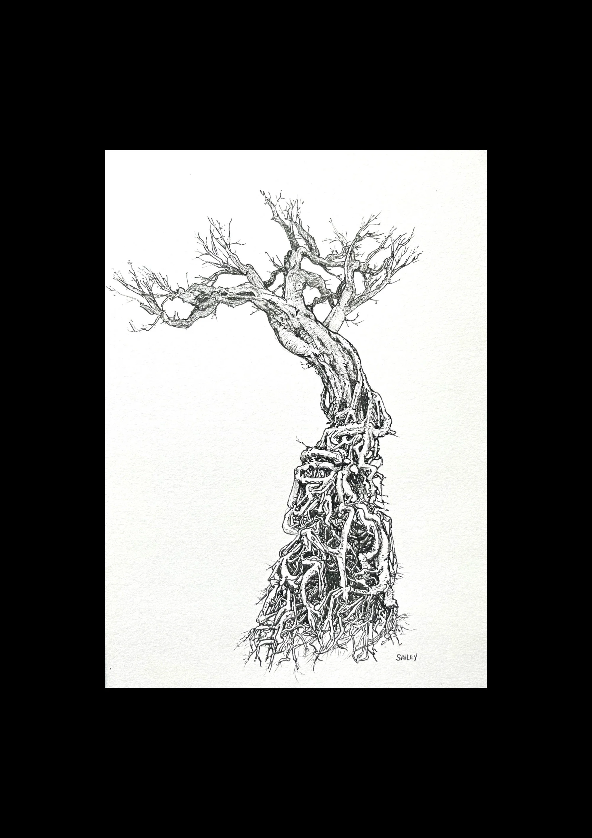 SAILEV Axis Mundi I avec passepartout 2022.jpg