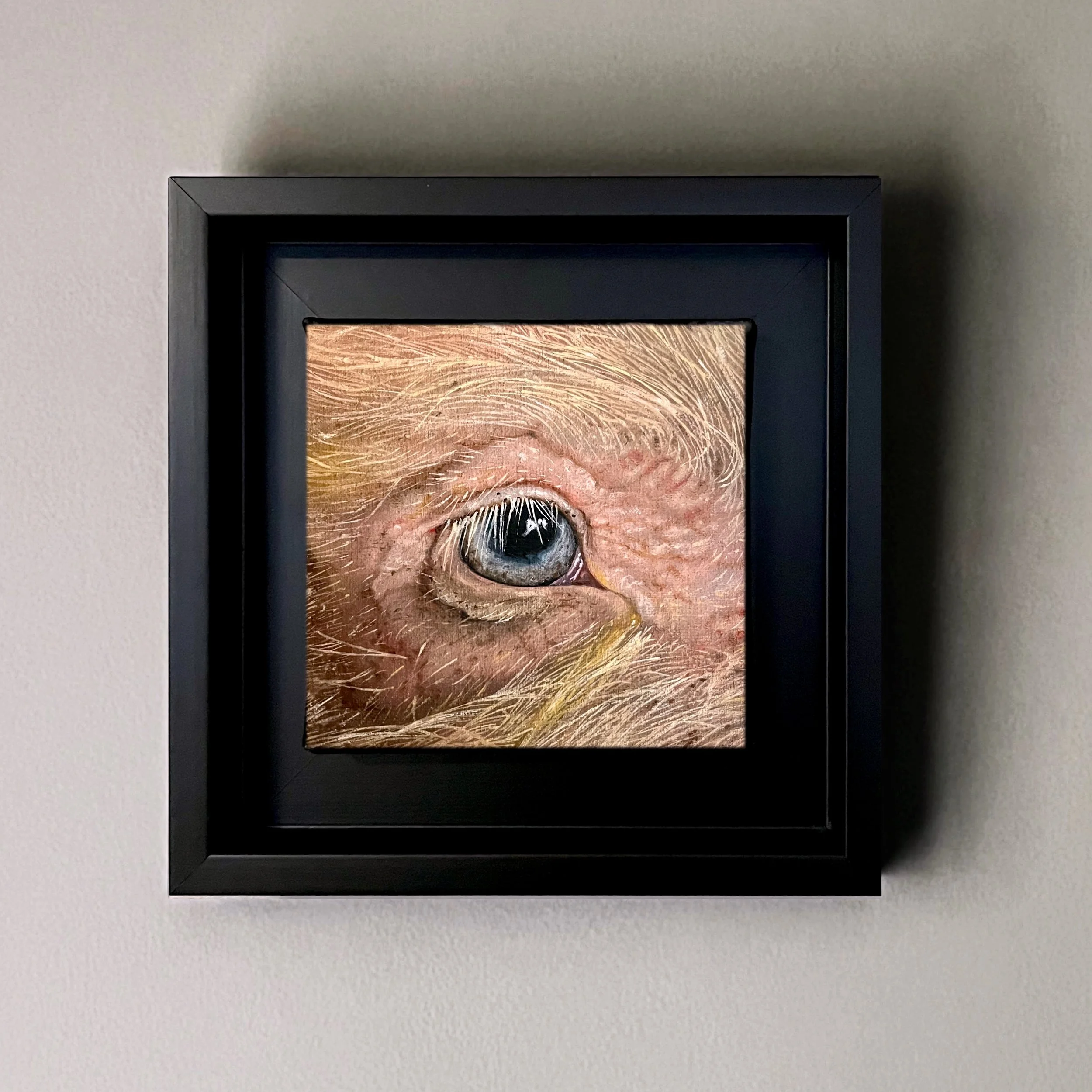 SAILEV EyeSeeYou XV on wall 2023.jpeg