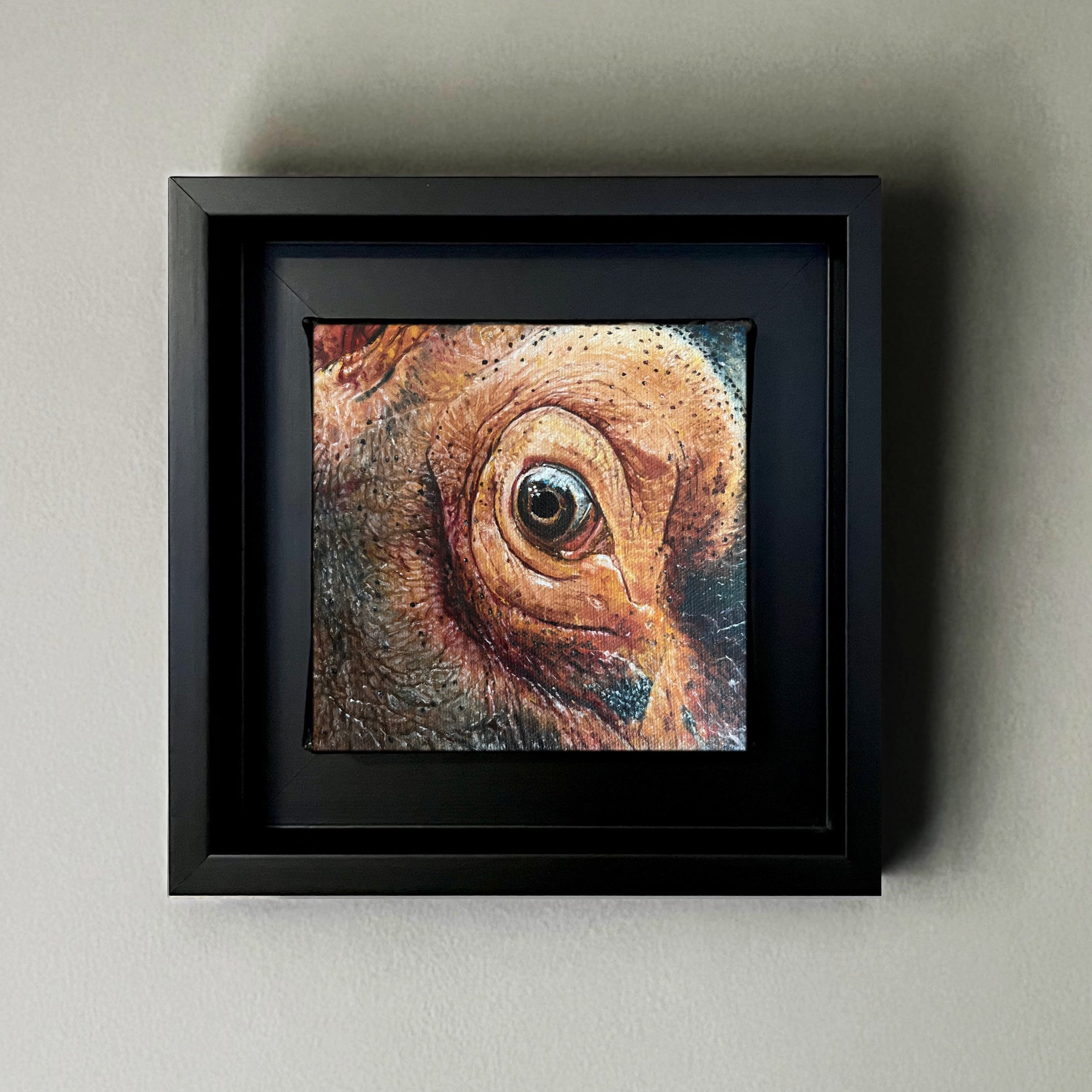 Eye See You XXXI