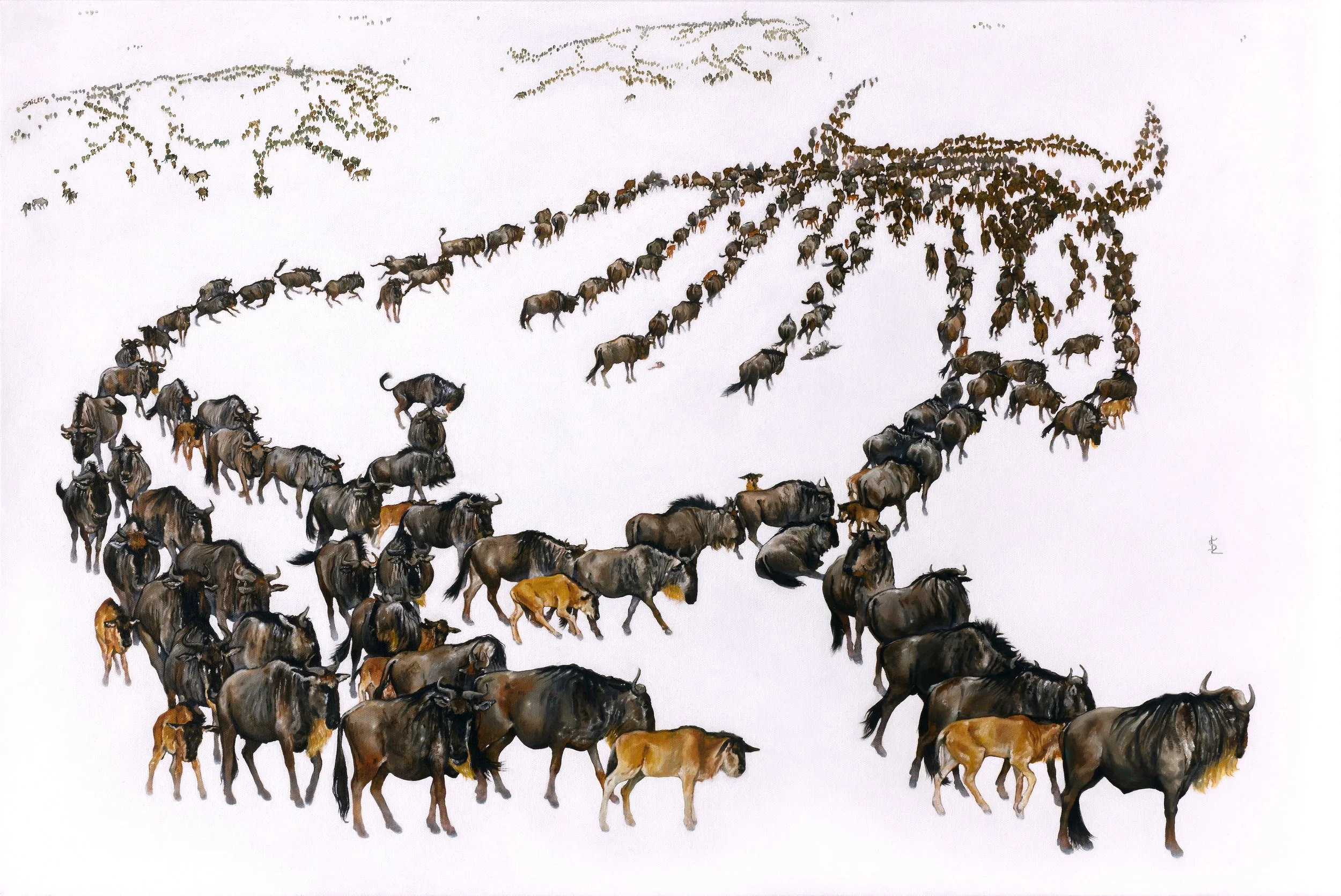 Resilience SAILEV MD 7MB Jul2020.jpg