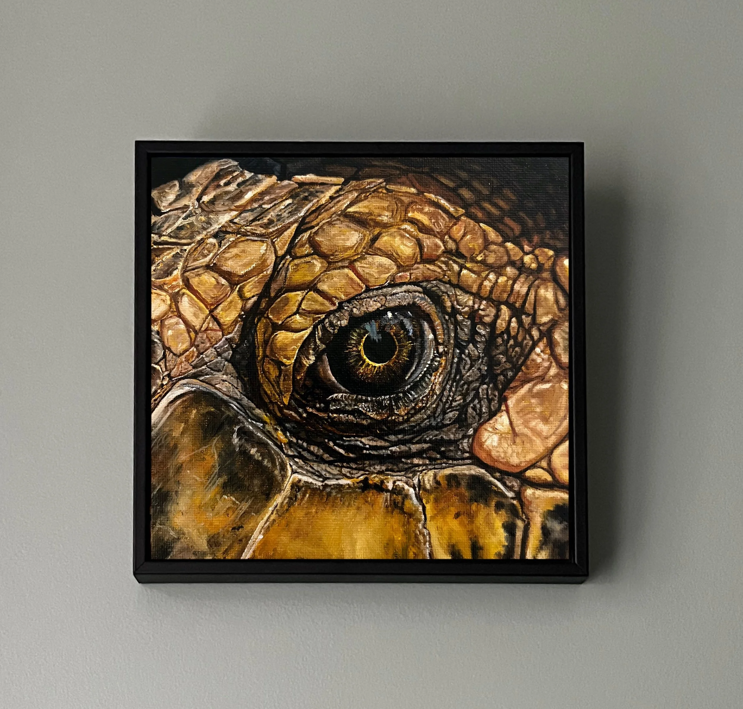 SAILEV EyeSeeYou XXIII Seaturtle with frame.jpg