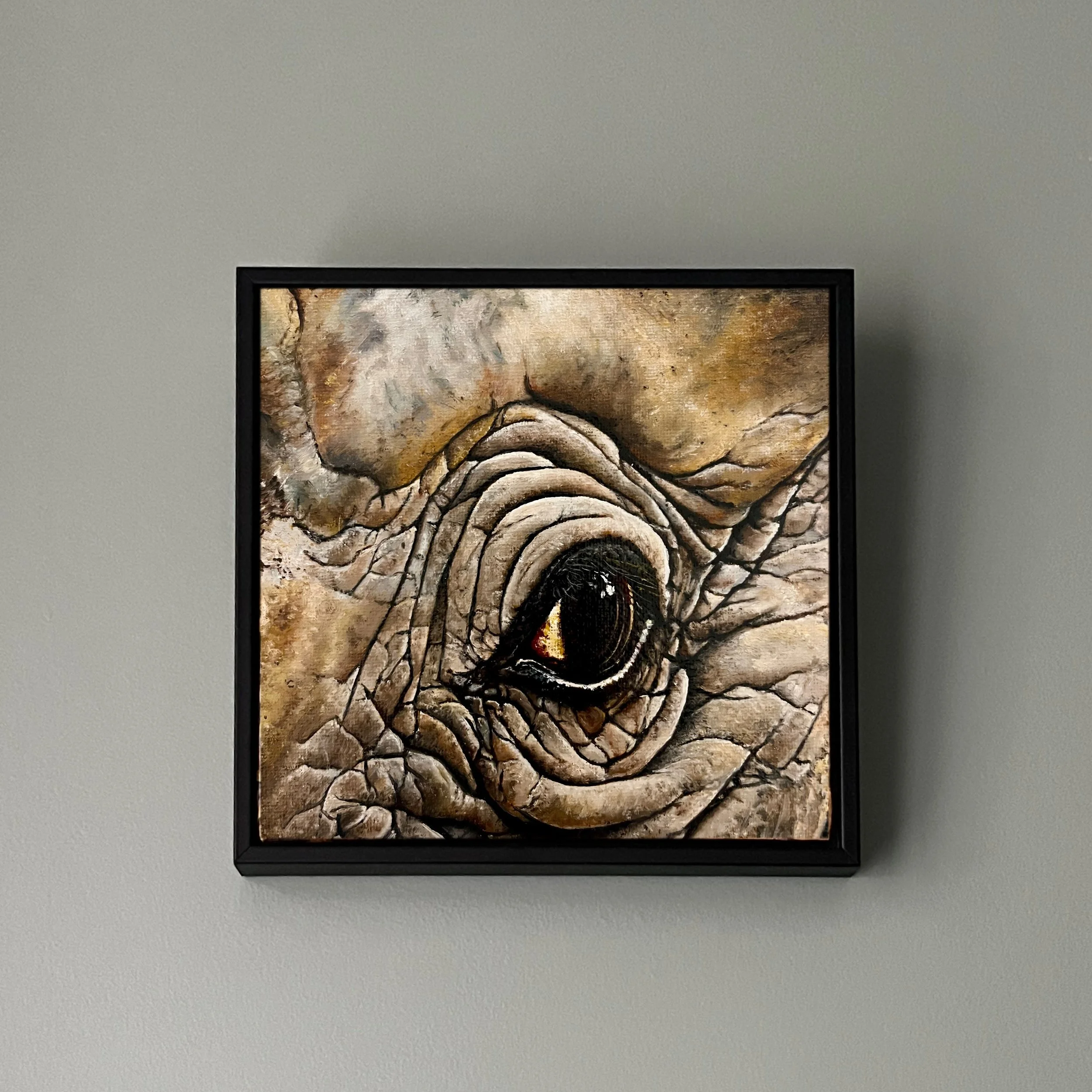 SAILEV EyeSeeYou XX with frame.jpg