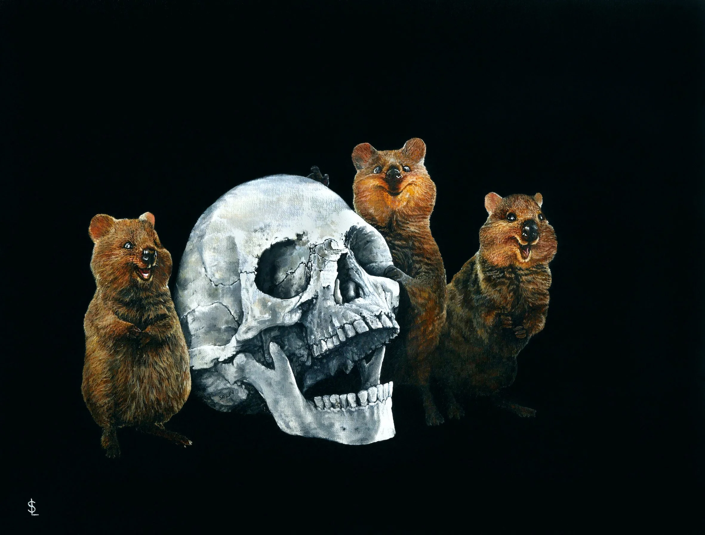 SAILEV Setonix brachyurus 5MB.jpg