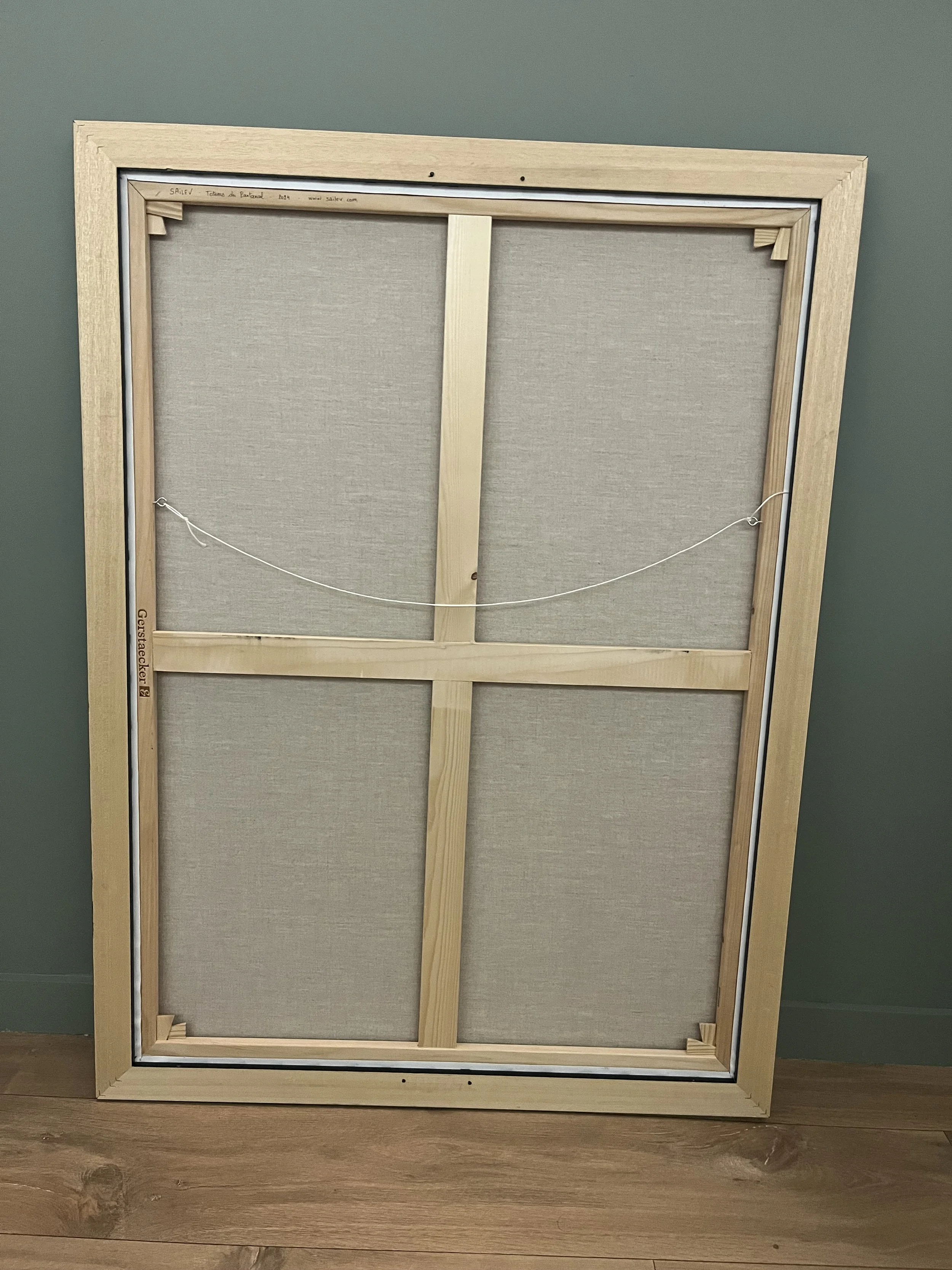 SAILEV Pantanal back view.jpg