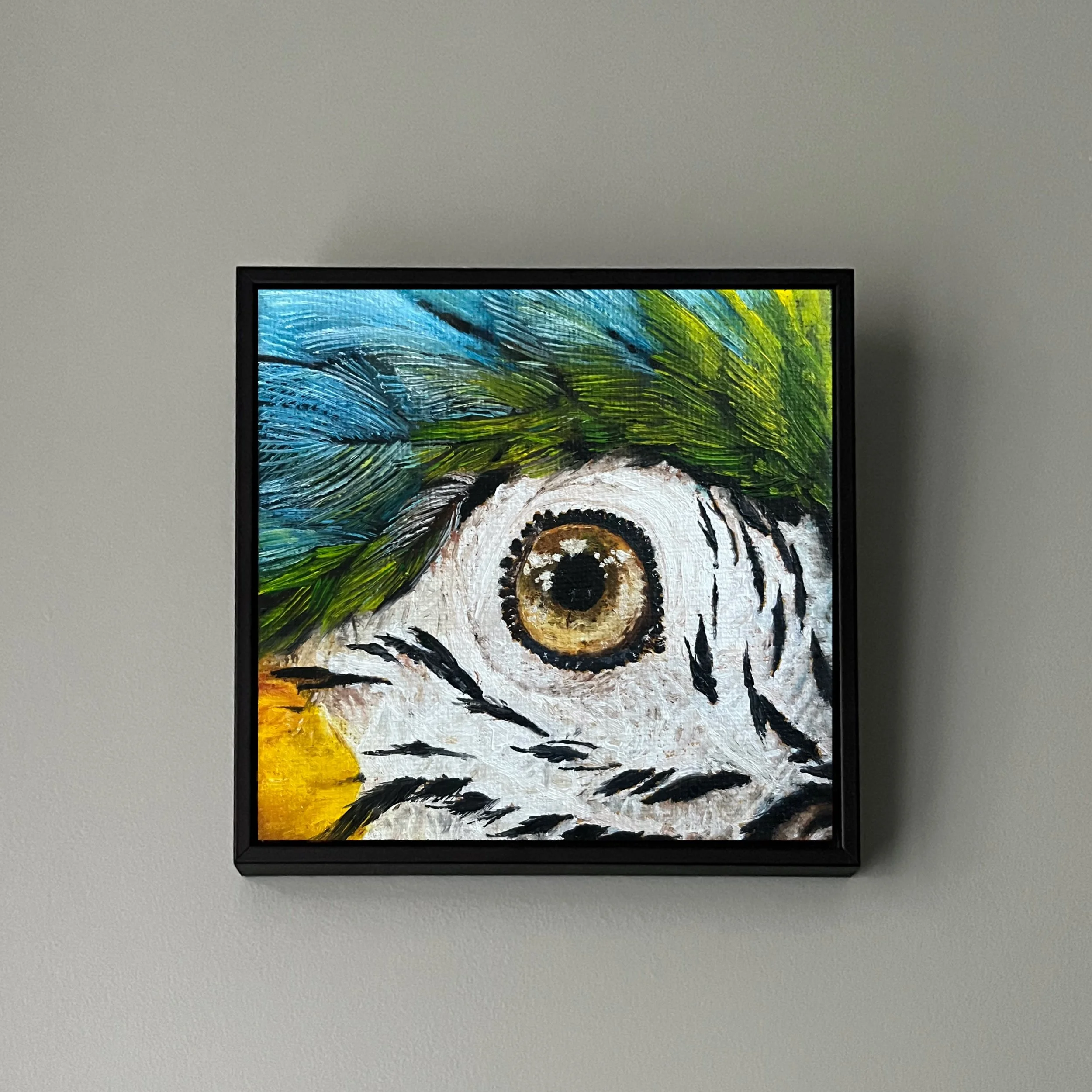 SAILEV EyeSeeYou XXIX 10x10 avec cadre jan26.jpg