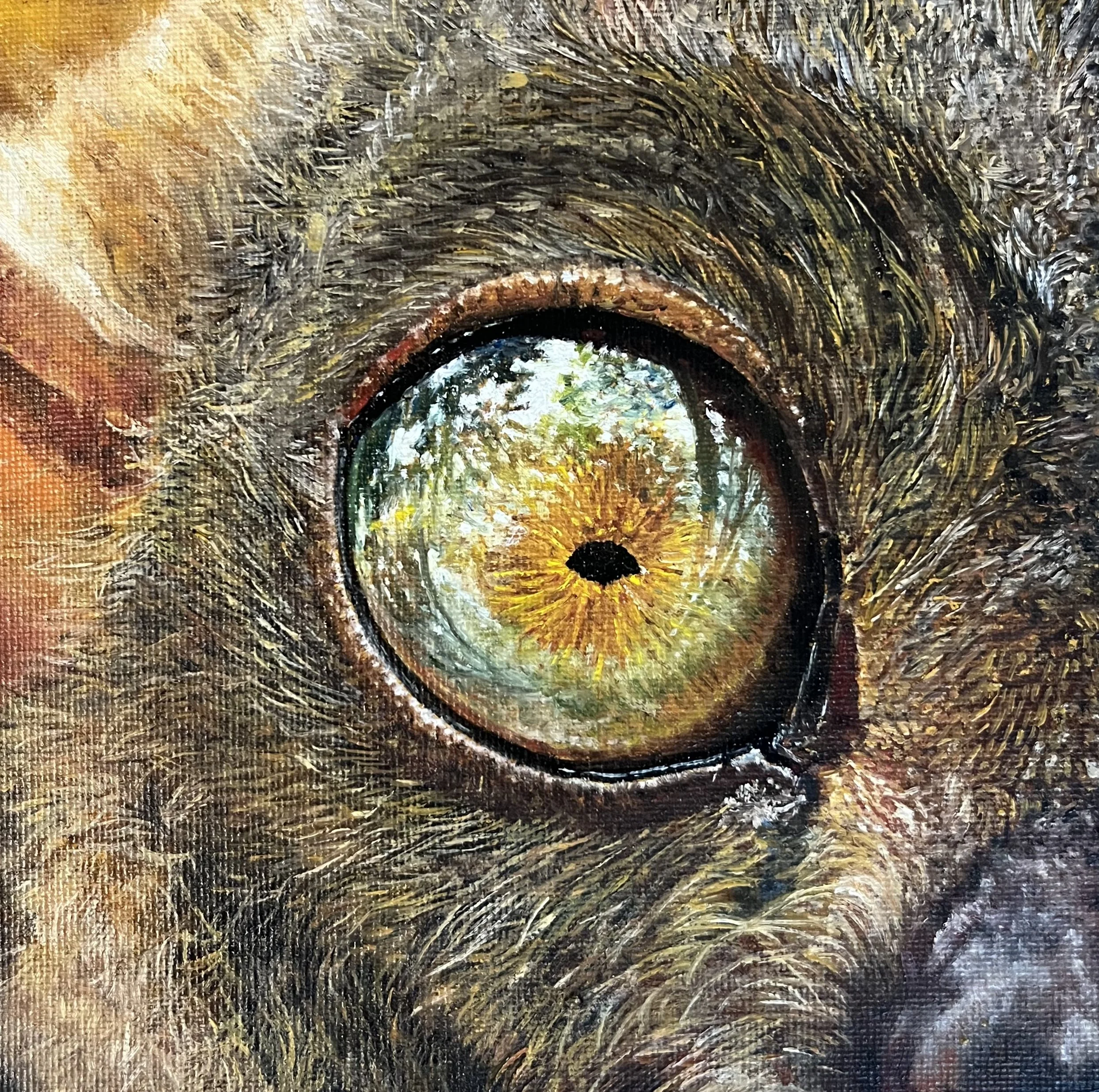 SAILEV EyeSeeYou XXX 15x15 jan26.jpg