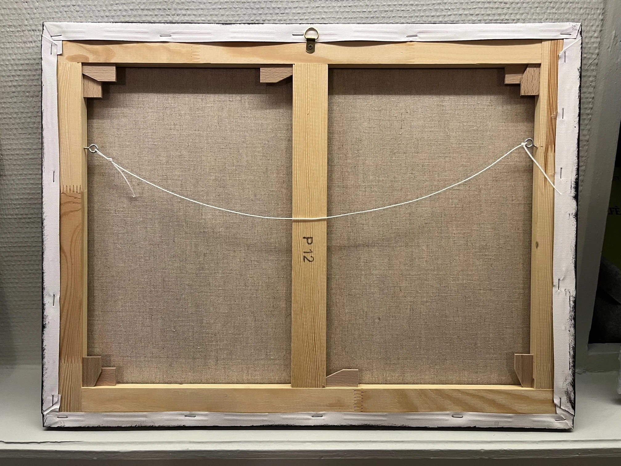 Sailev Setonix backview.jpg