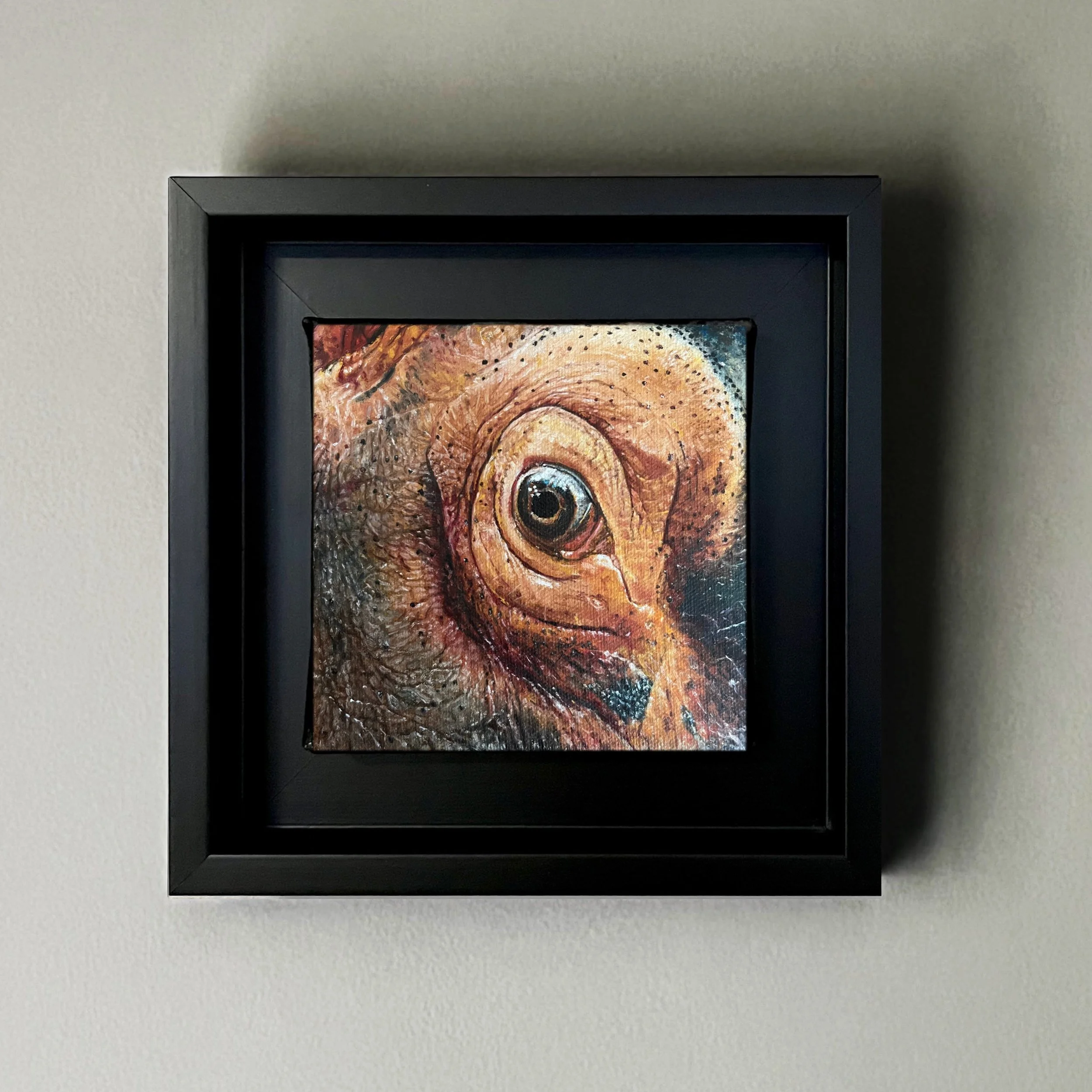 SAILEV EyeSeeYou XXXI 15x15 canvas with frame jan26.jpg