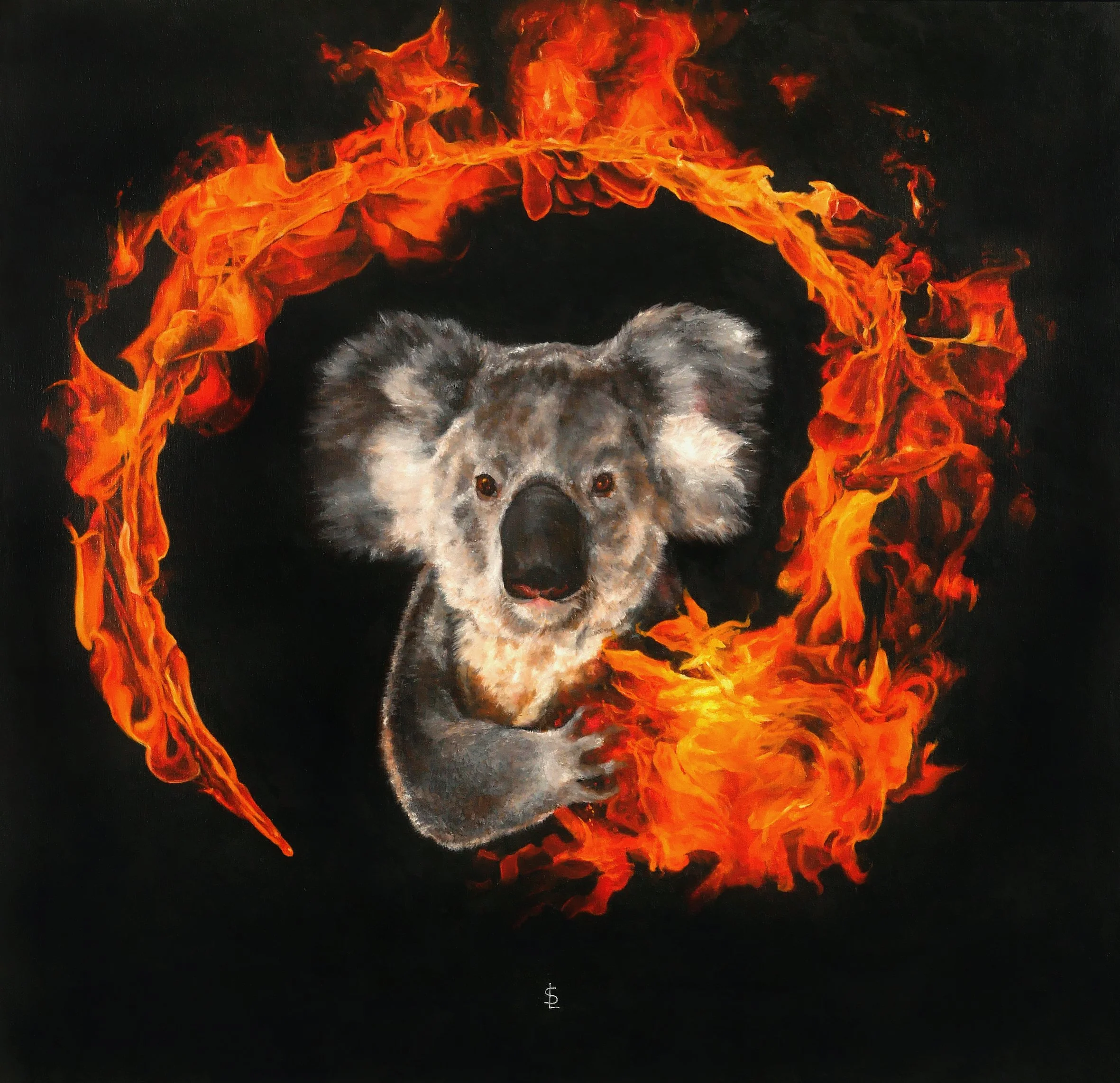 The Warning Of The Koala SAILEV JPG 7MB.jpg