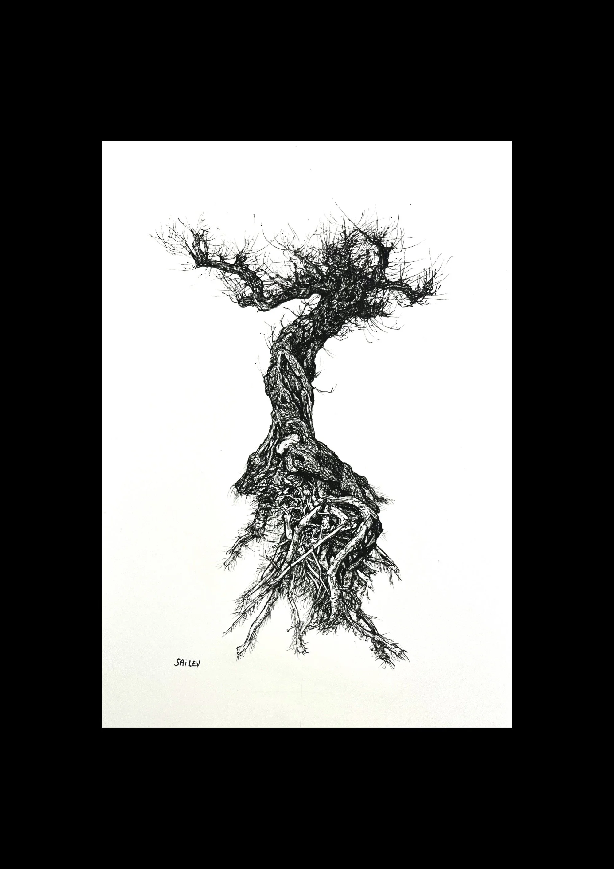 SAILEV Axis Mundi VIII avec passepartout 2022.jpg