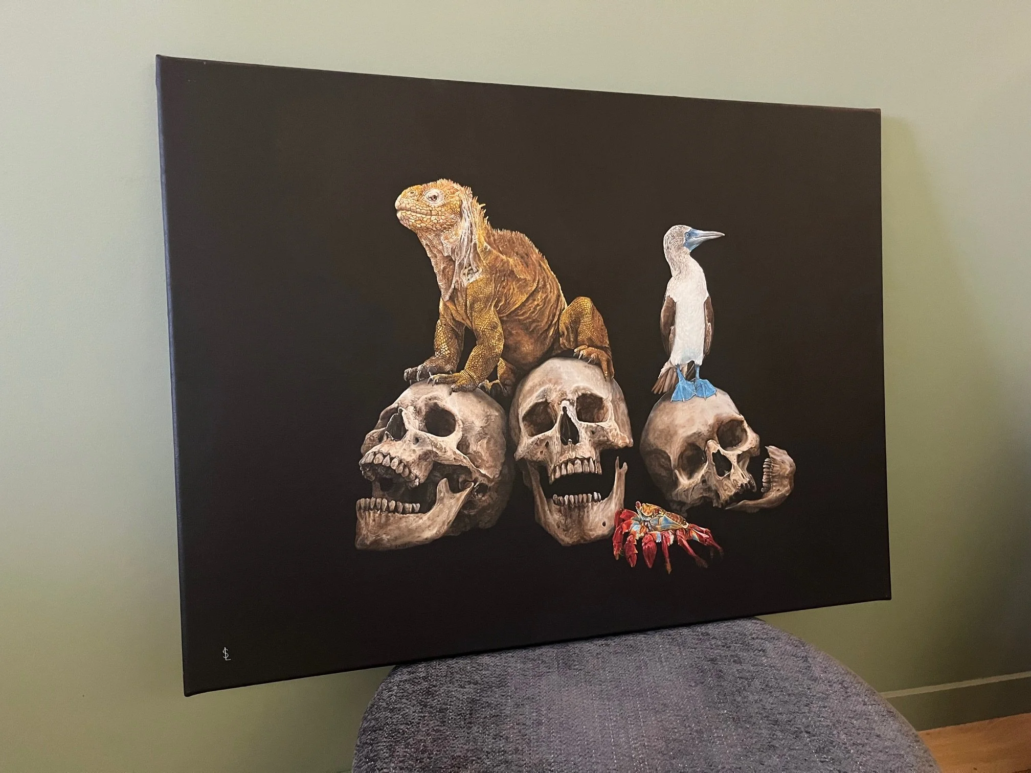 Galapagos side view.jpg