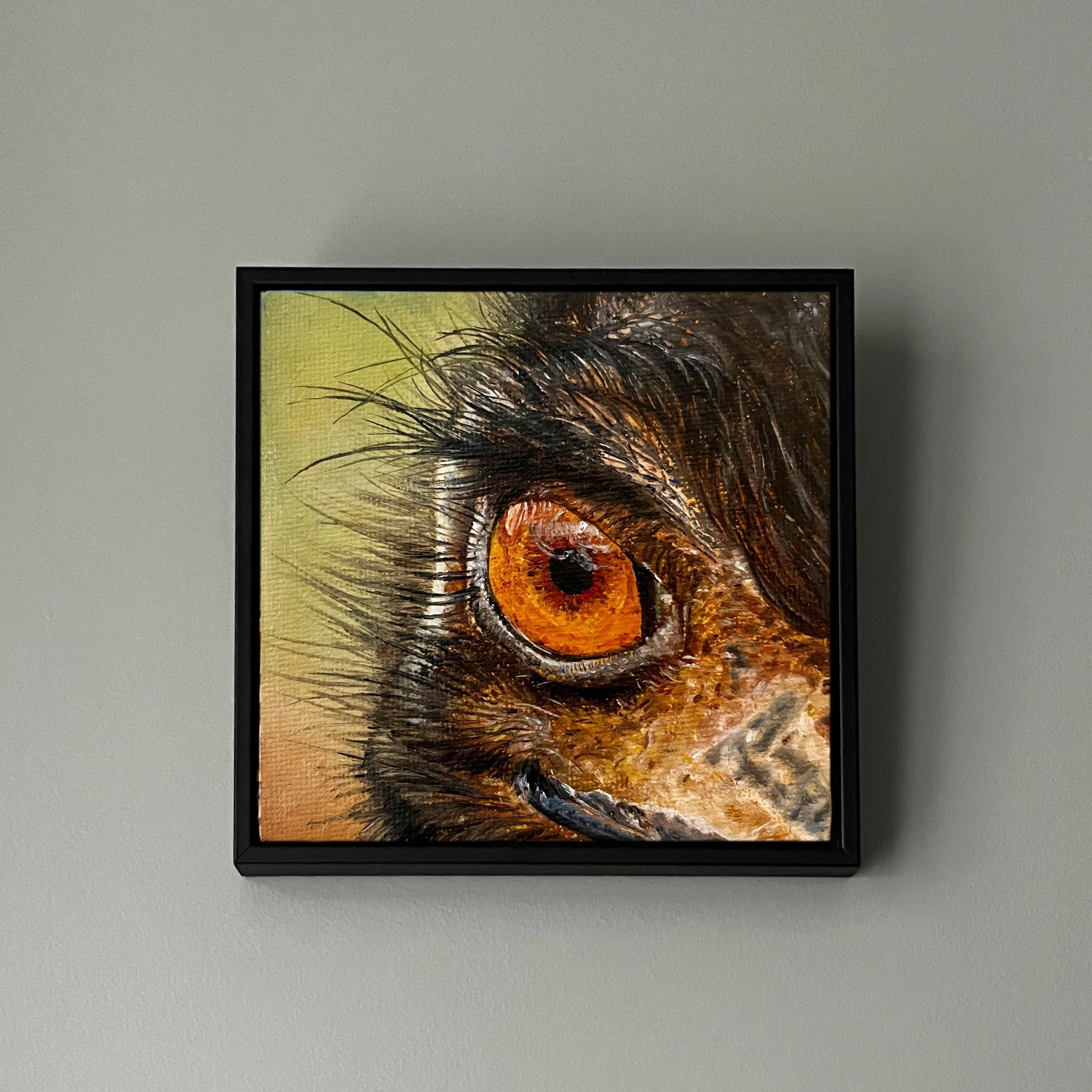 SAILEV EyeSeeYou XXV Emu with frame.jpg