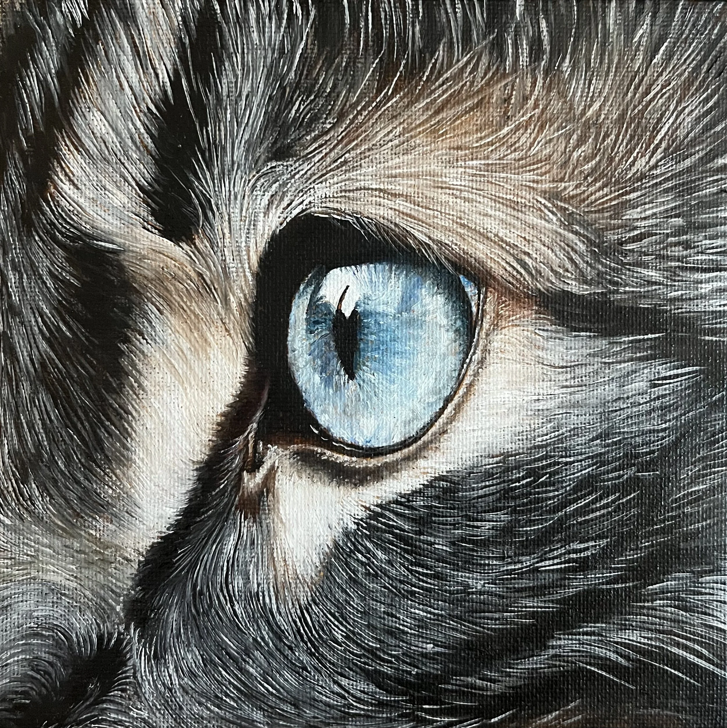 SAILEV EyeSeeYou XXVIII 15x15 jan26.jpg