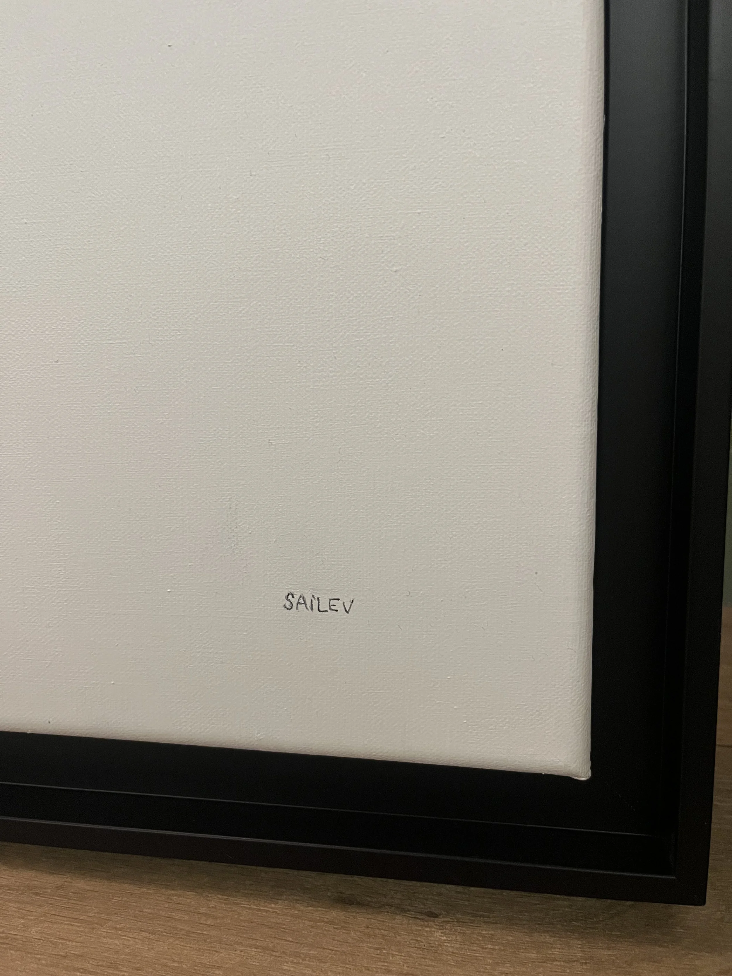 SAILEV Pantanal signature.jpg