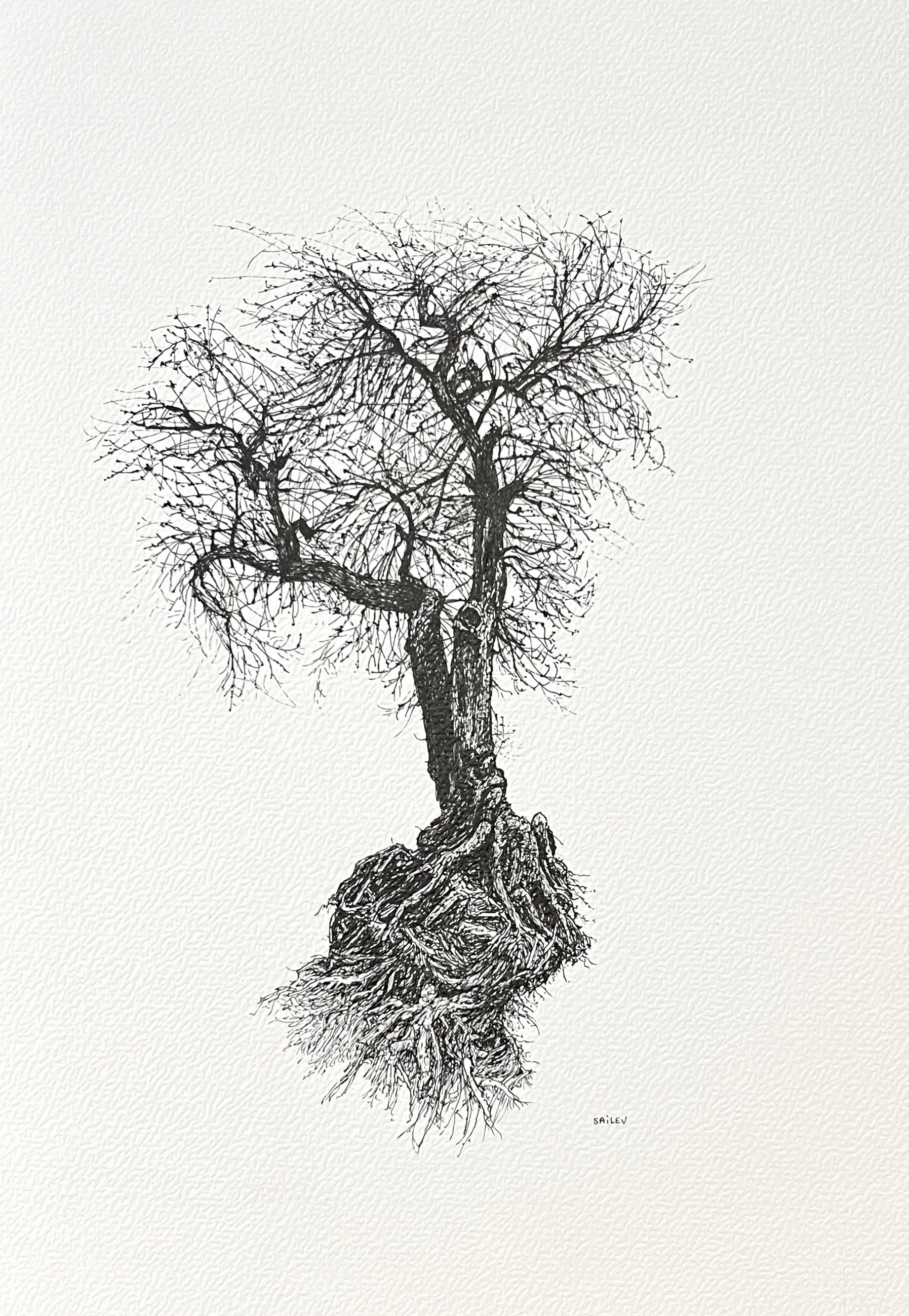 SAILEV Axis Mundi XXV 2025.jpg