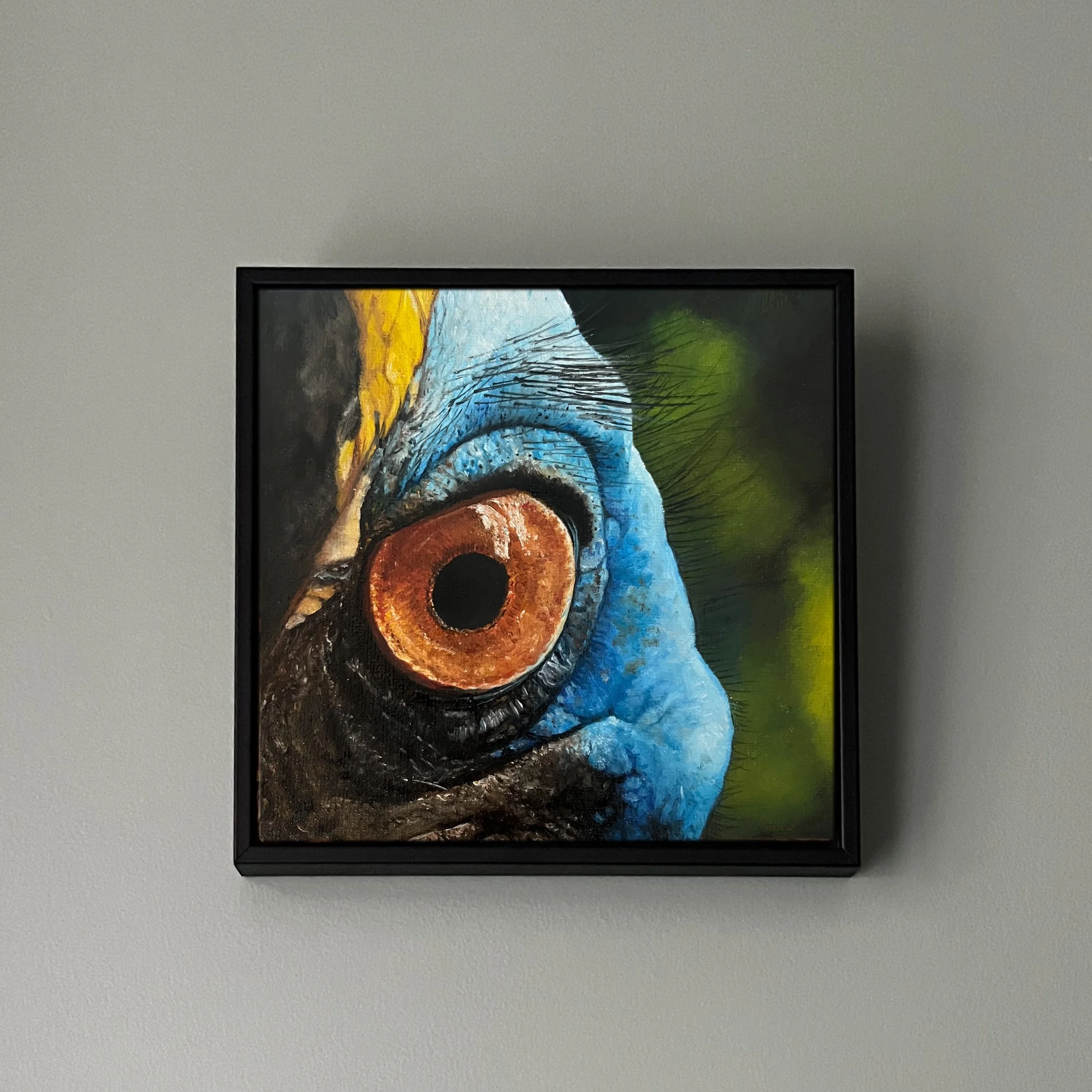 SAILEV EyeSeeYou XIX Casoar 15x15 canvas board with frame 2024 on wall.jpg