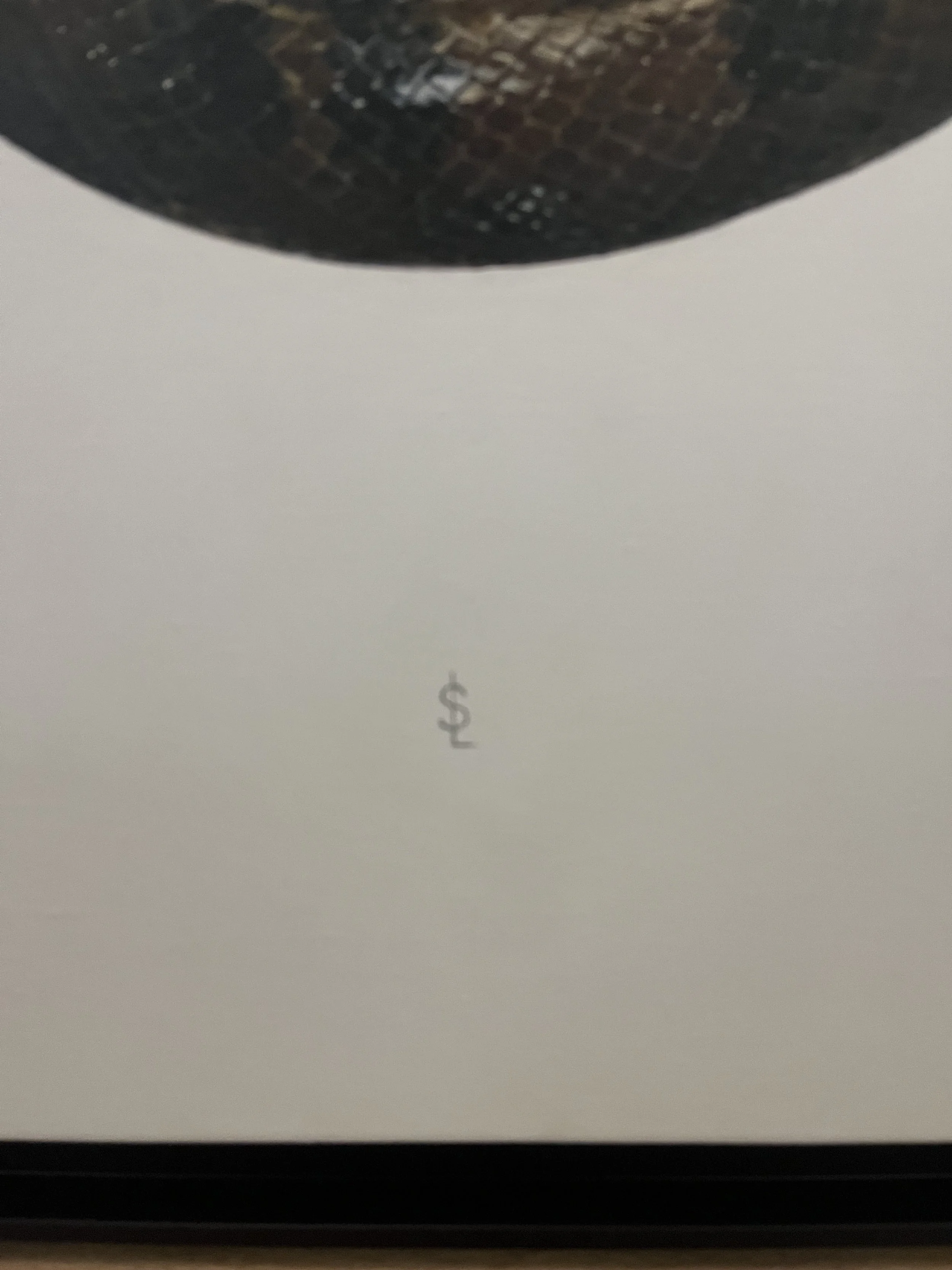 SAILEV Headless Ouroboros signature.jpg