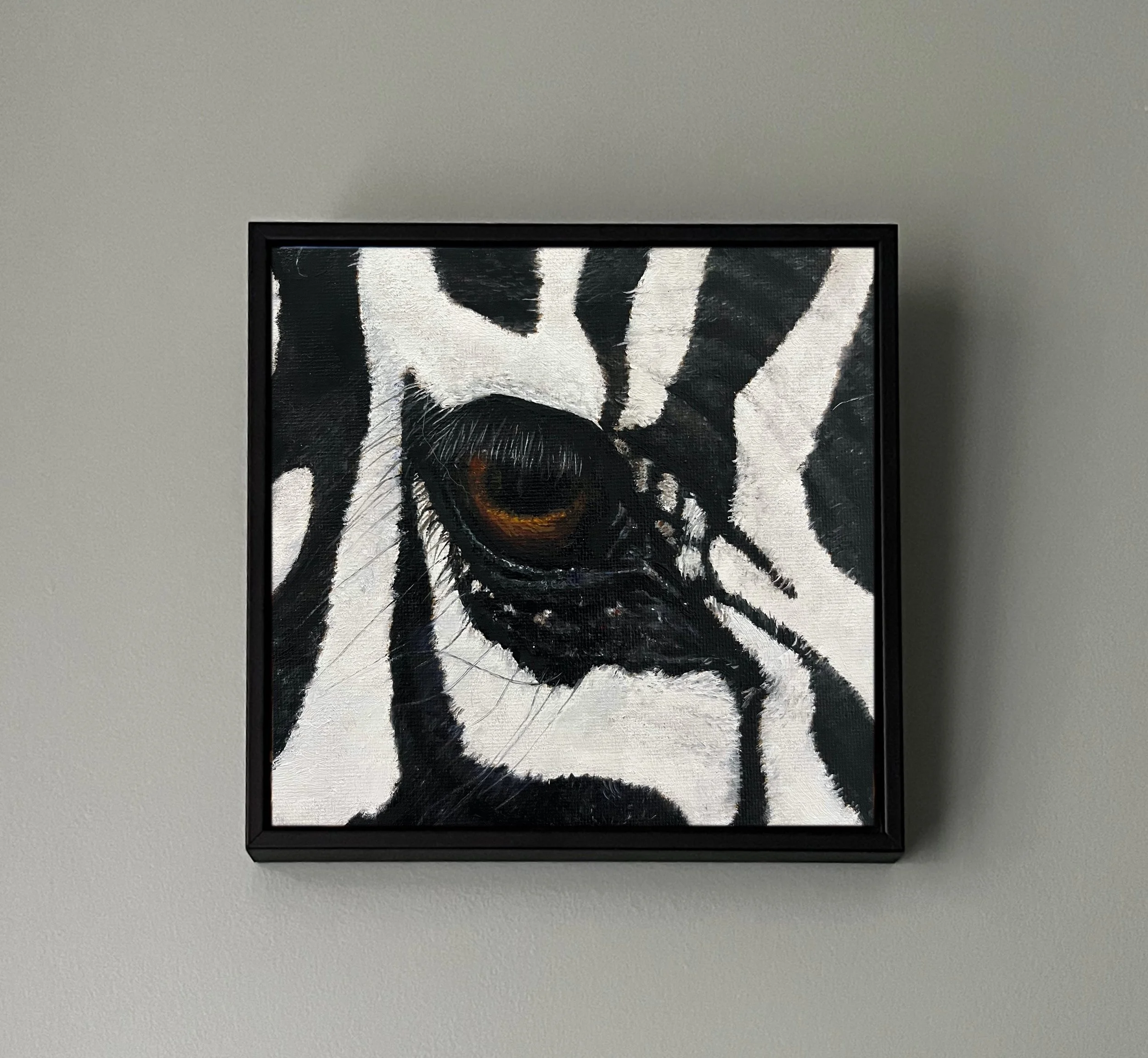 SAILEV EyeSeeYou XXI Zebra with frame.jpg