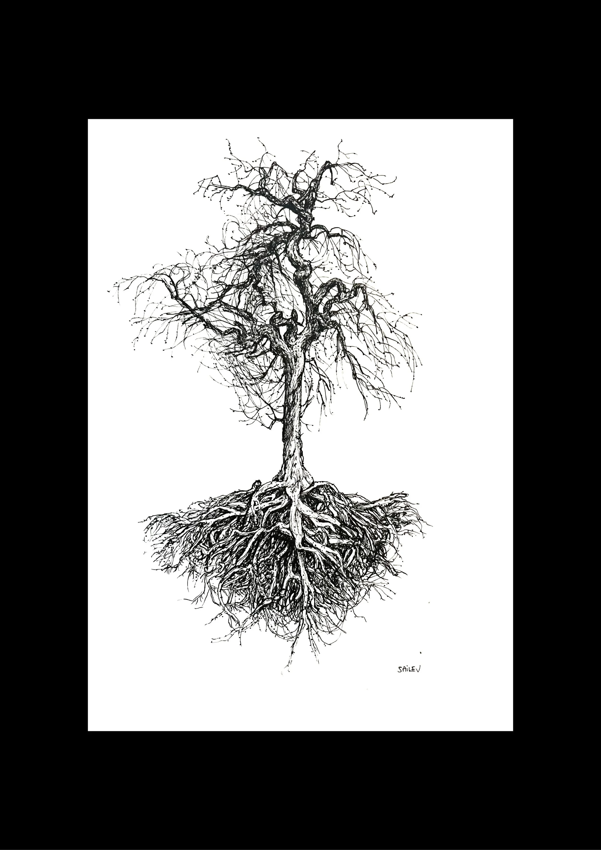 SAILEV Axis Mundi XXVI cadre noir 21x29.7 dec2025.jpg