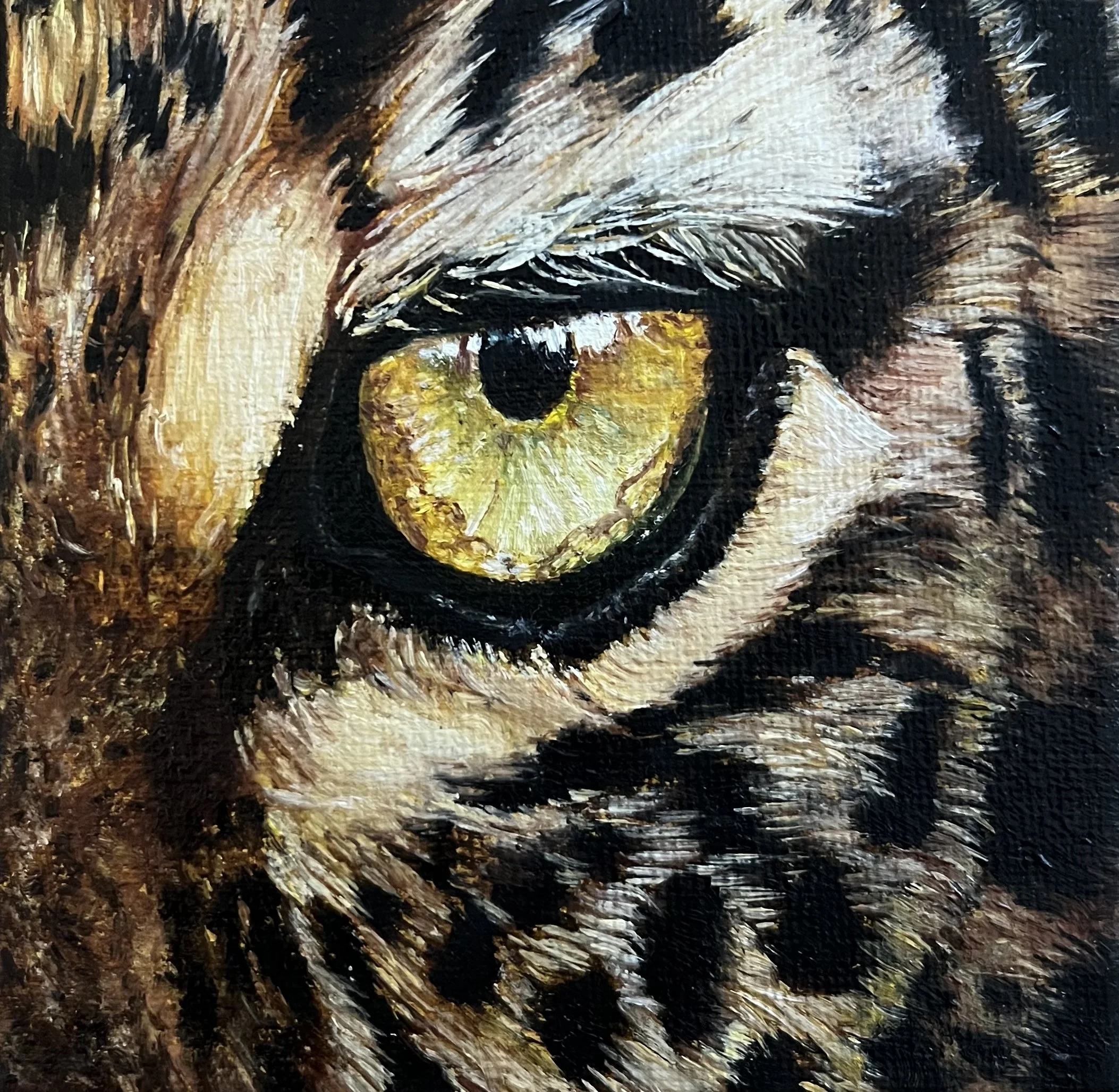SAILEV EyeSeeYou XXXIII 10x10 jan26.jpg