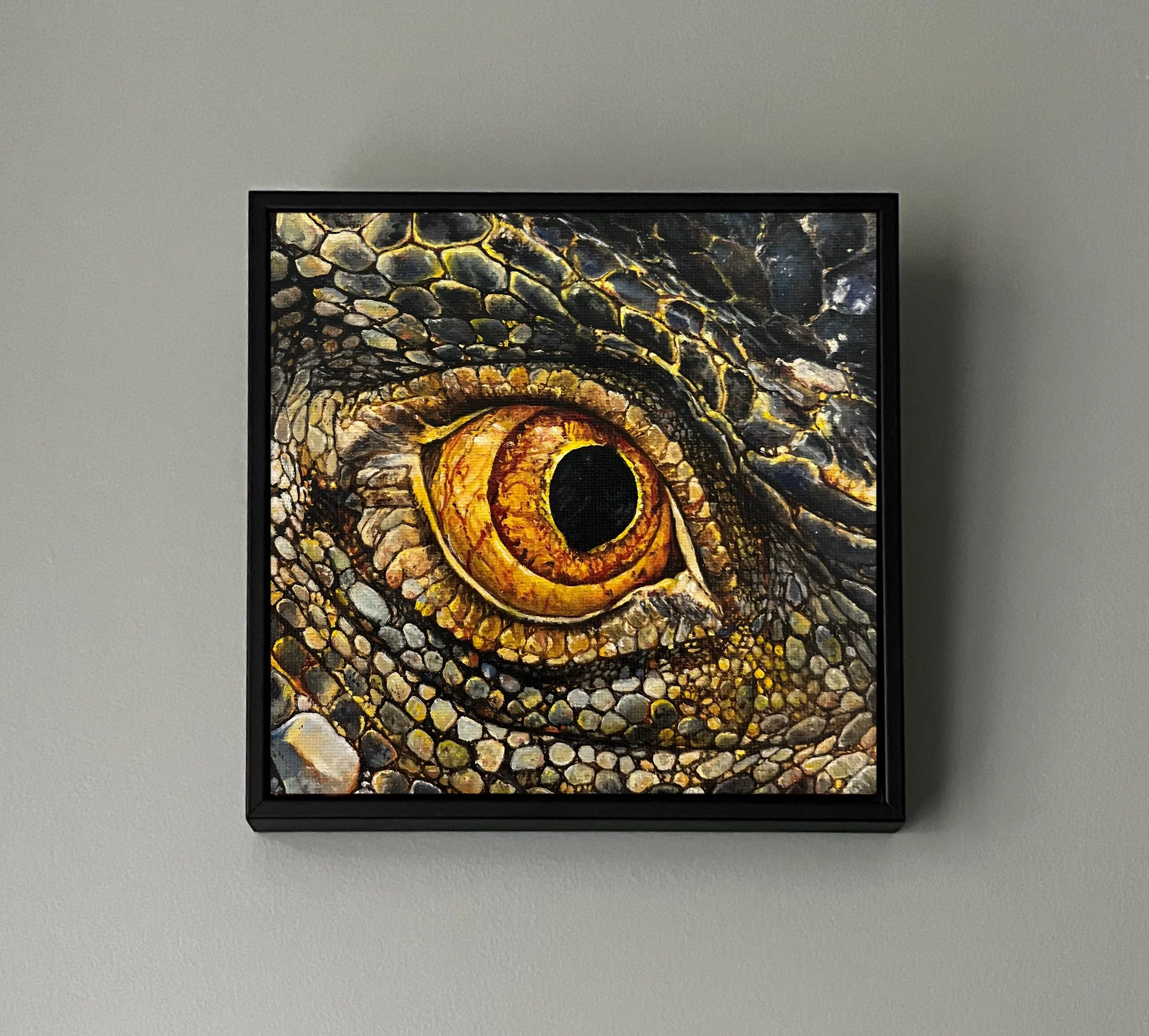 SAILEV EyeSeeYou XXII lizzard with frame.jpg