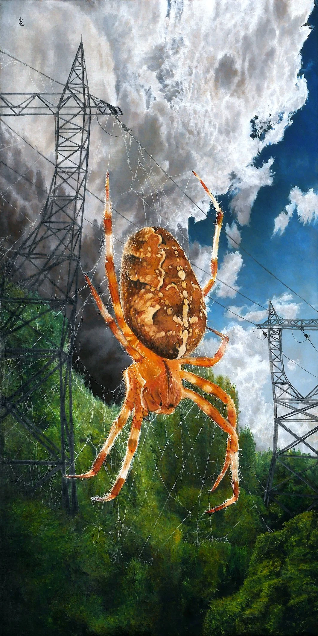 The Guardian Cross Spider SAILEV 5MB JPG.jpg
