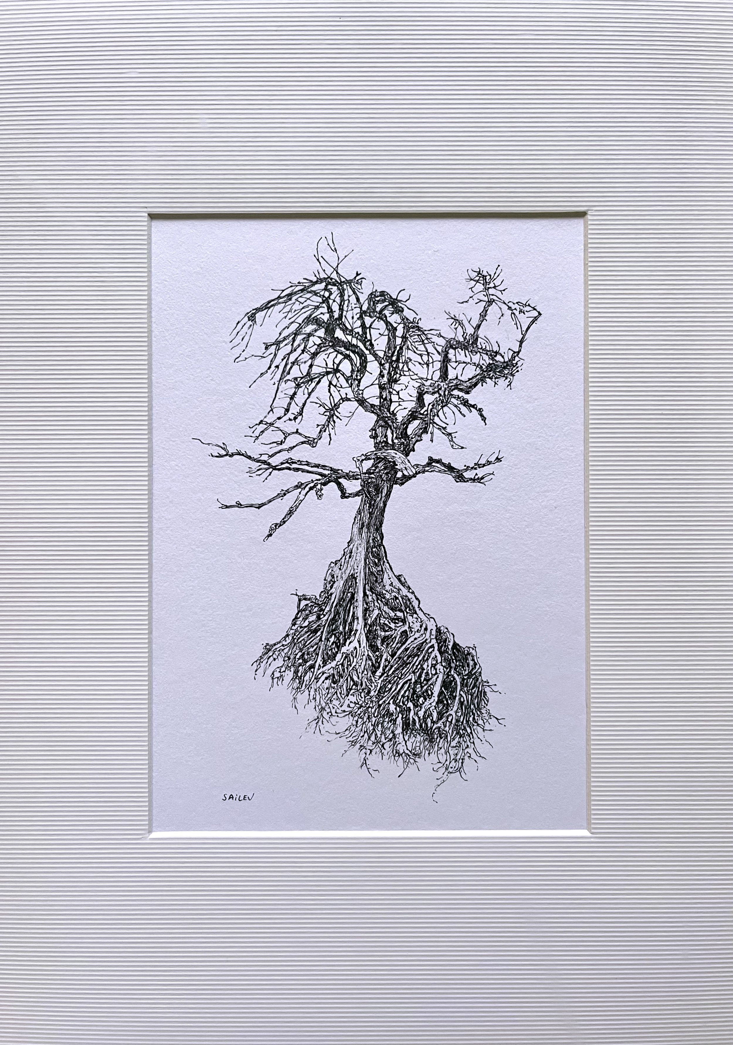 SAILEV Axis Mundi XIX avec passepartout 2024.jpg