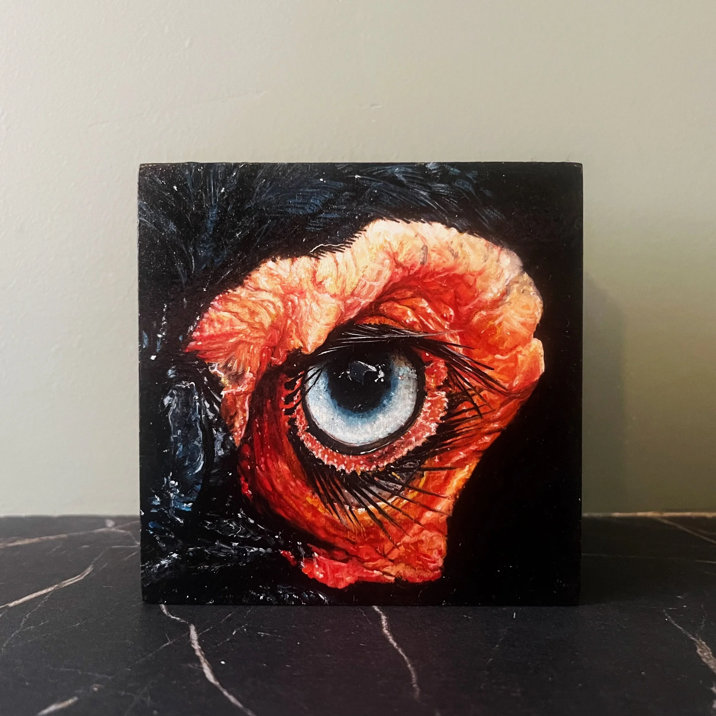 SAILEV EyeSeeYou VII on table 2022.jpeg