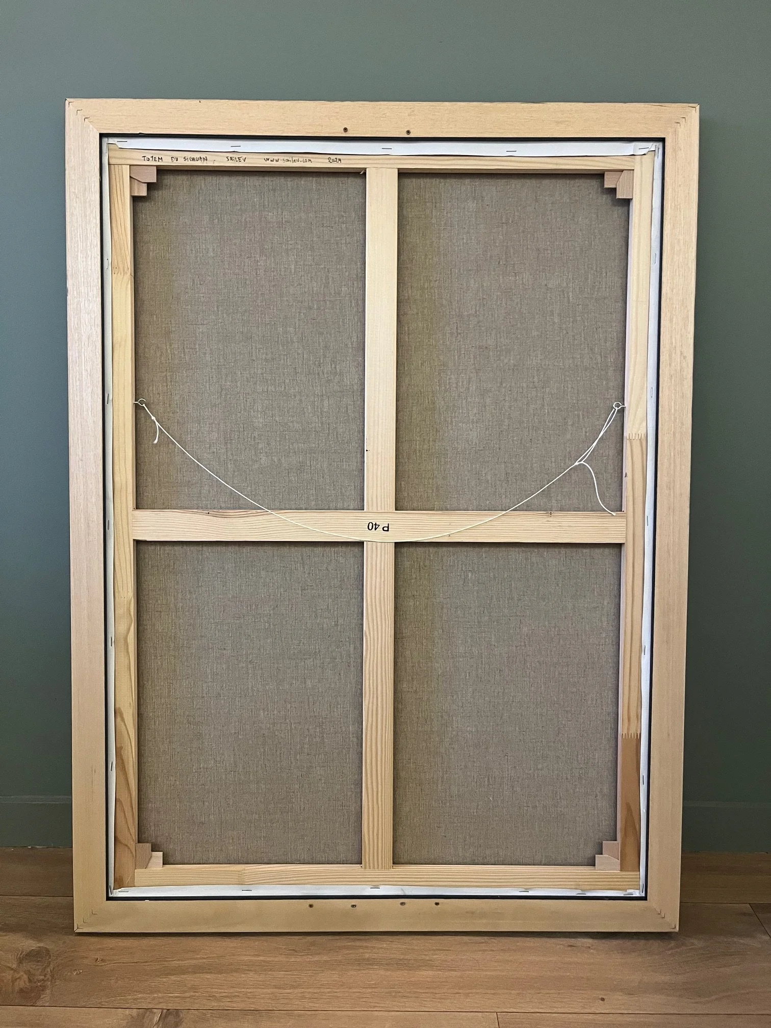 Sichuan back view.jpg