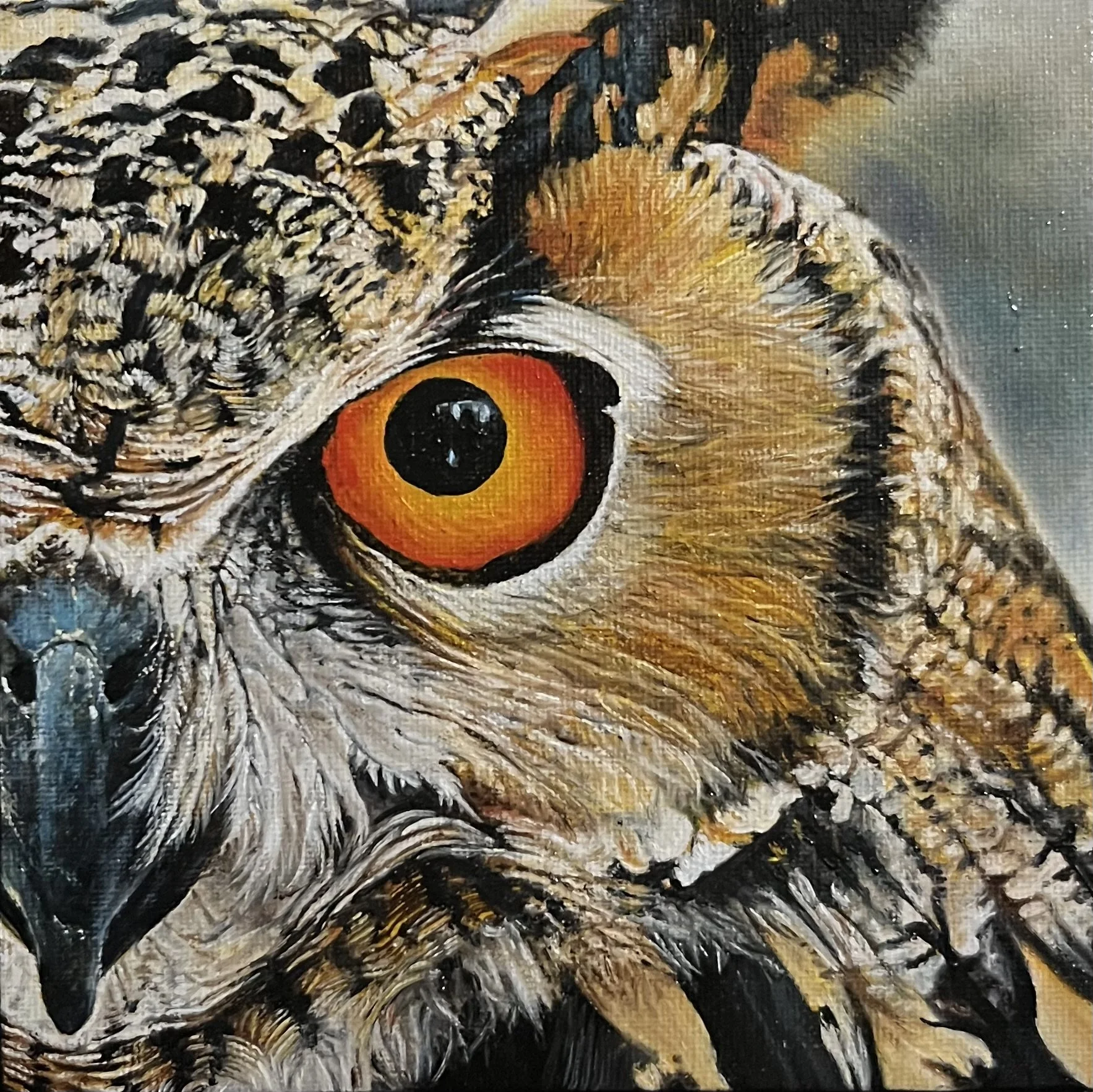 SAILEV EyeSeeYou XXVII EagleOwl 15x15.jpg