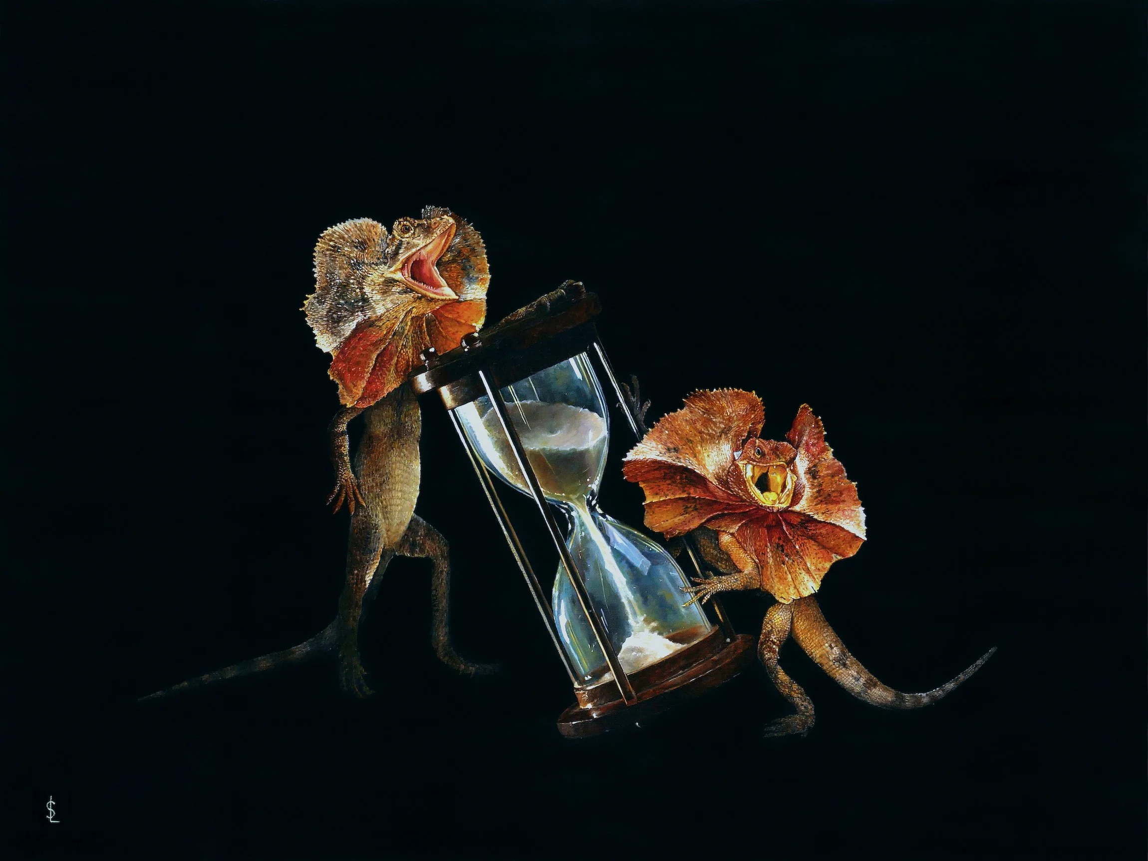 SAILEV Chlamydosaurus kingii Frilled Neck Lizard 5MB.jpg