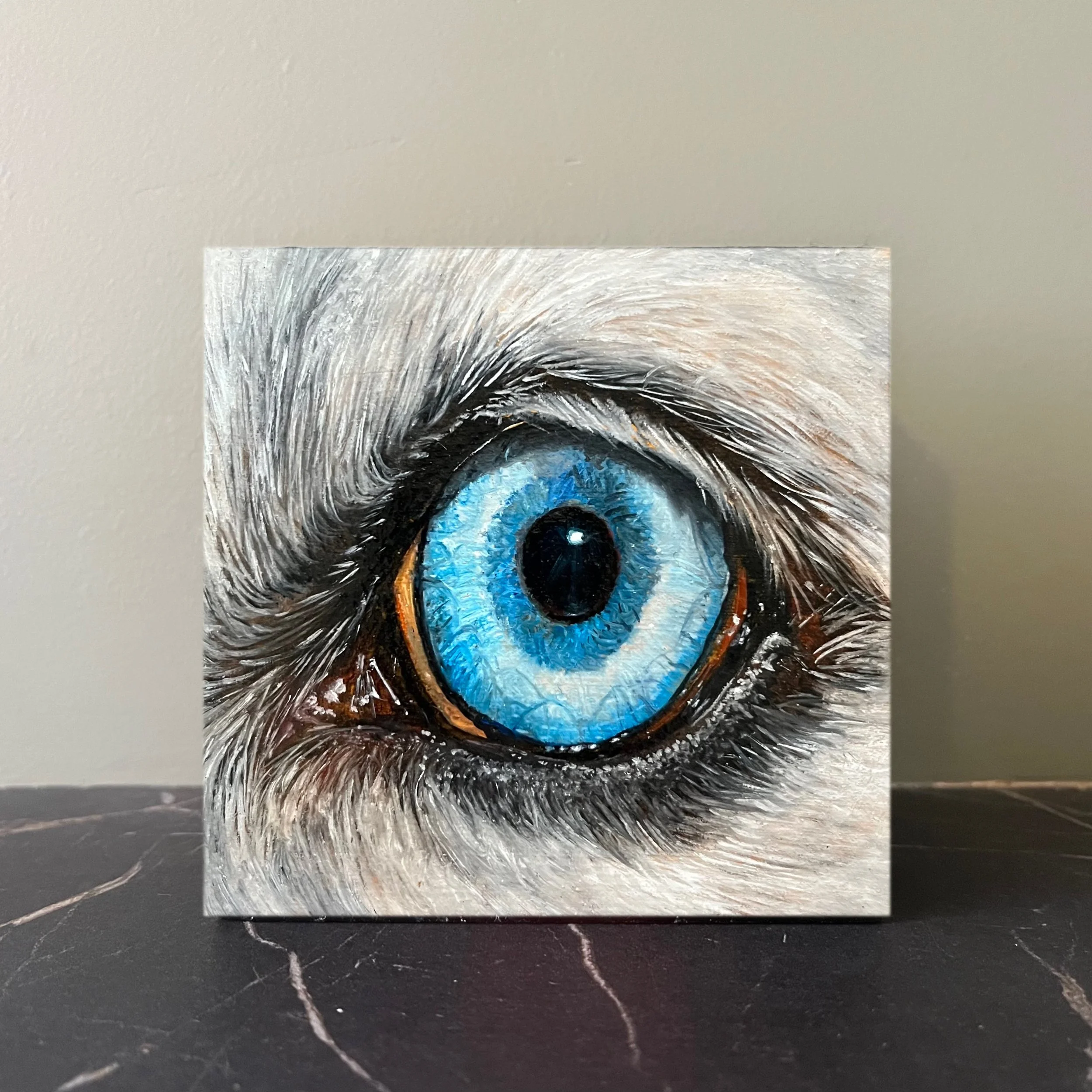 SAILEV EyeSeeYou V on wall 2022.jpeg